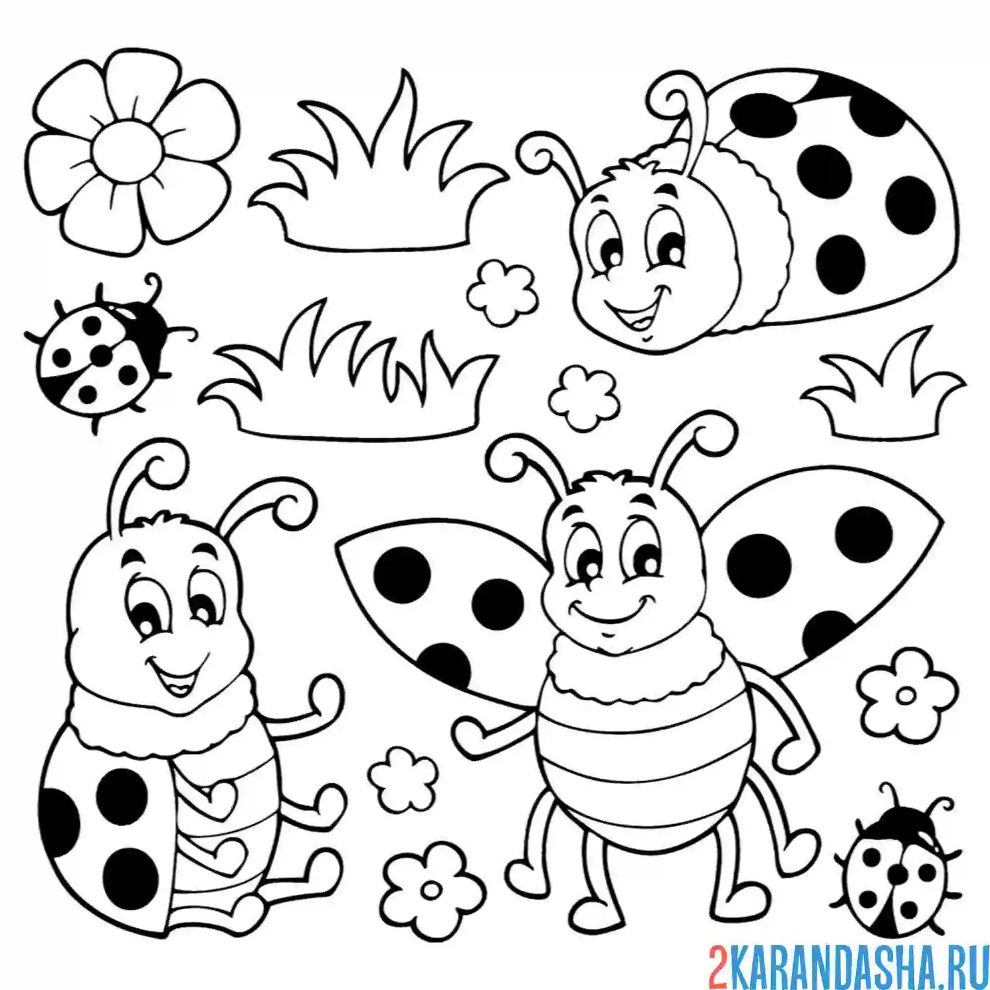 Раскраска насекомые божьи коровки