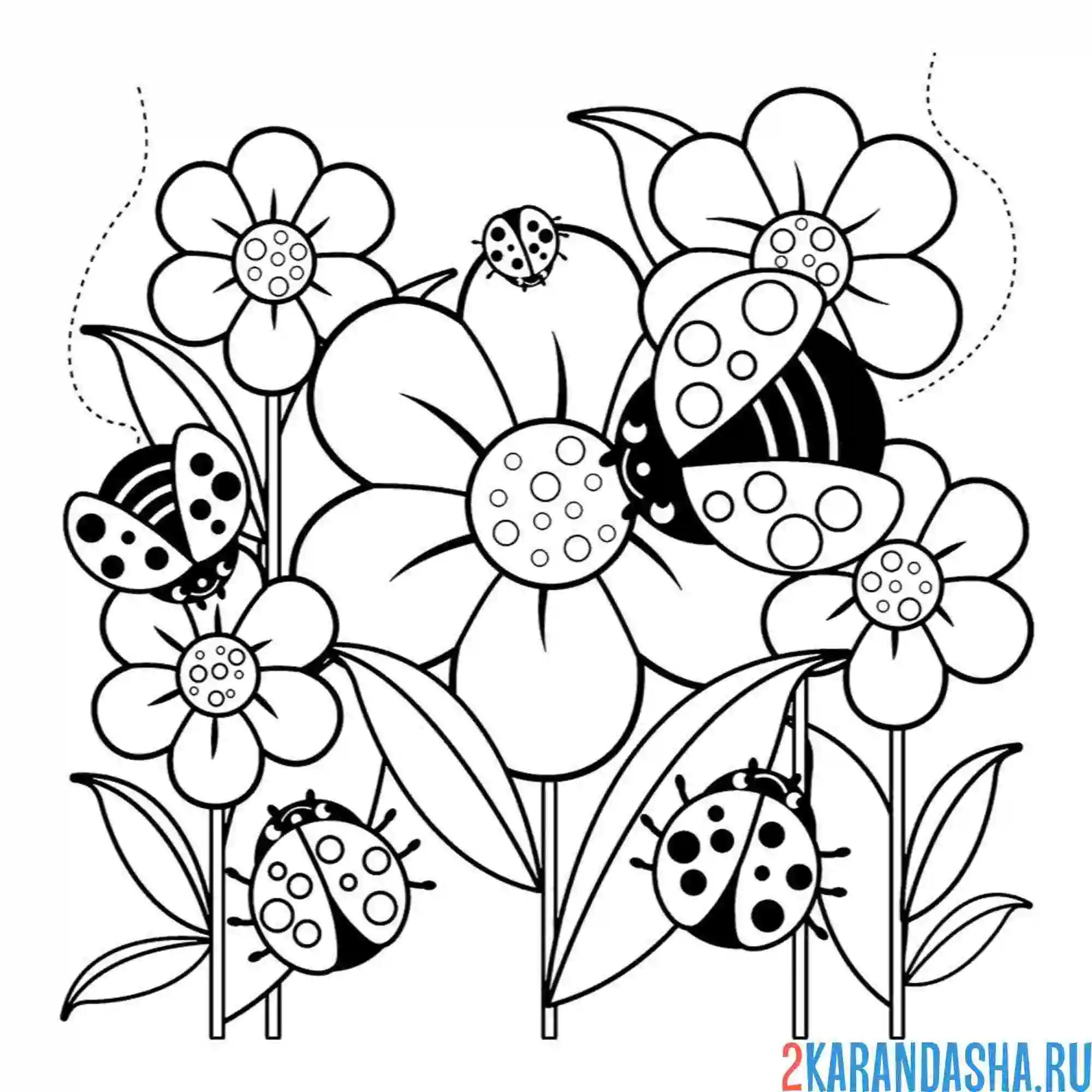 Раскраска насекомые божьи коровки в цветке