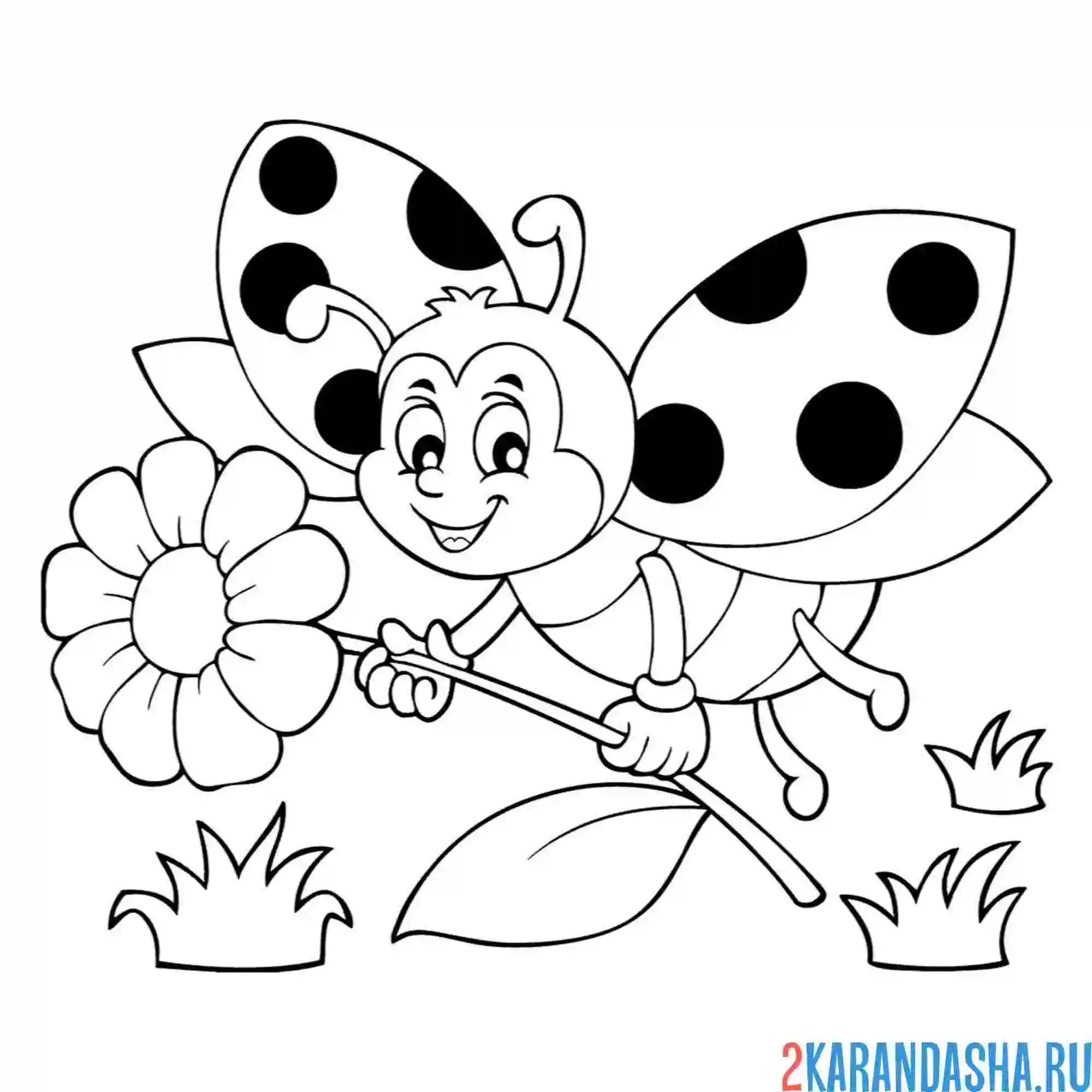 Раскраска божья коровка и цветок насекомое