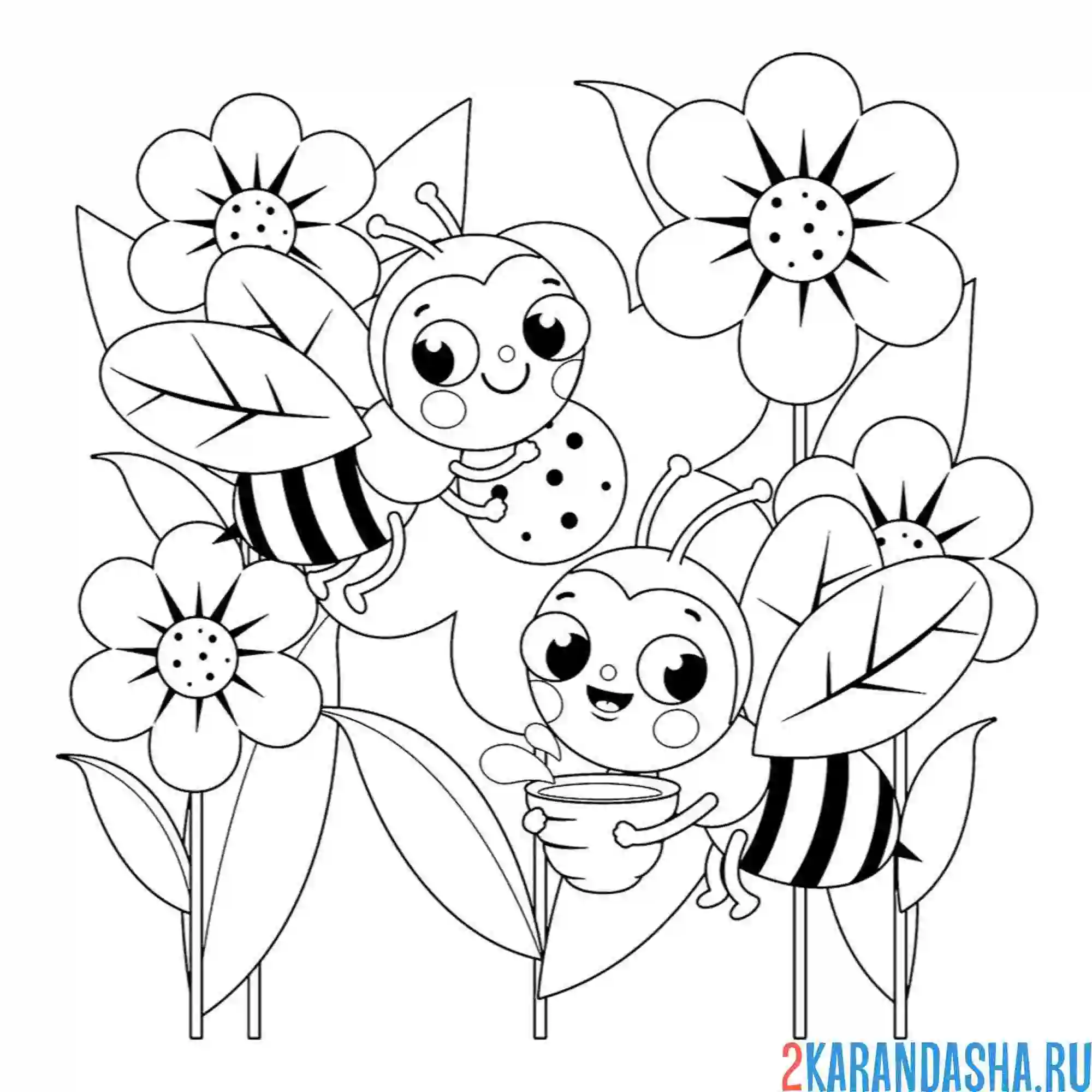 Раскраска две пчелки насекомые