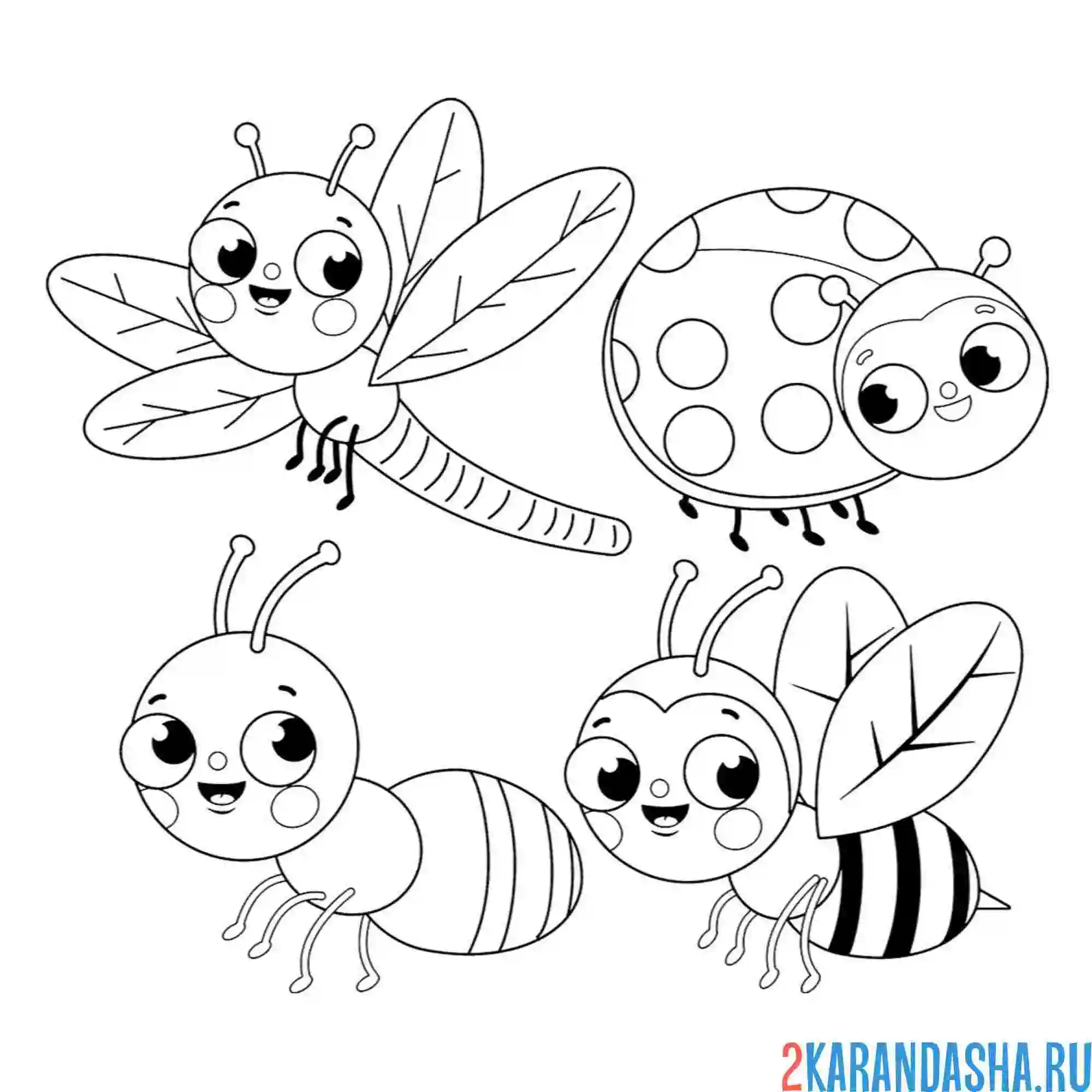 Раскраска насекомые стрекоза, божья коровка, муравей и пчела
