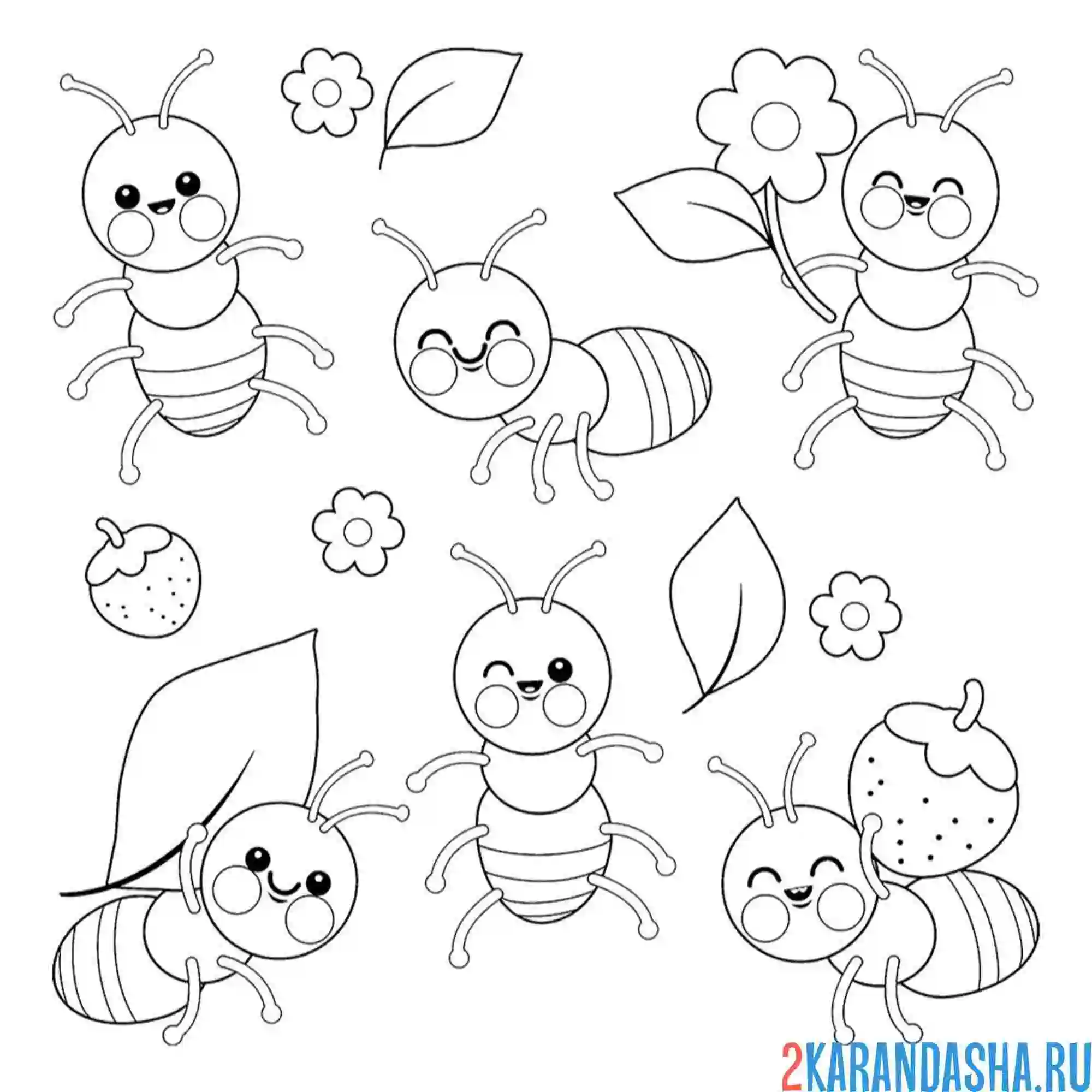 Раскраска насекомые разные муравьи