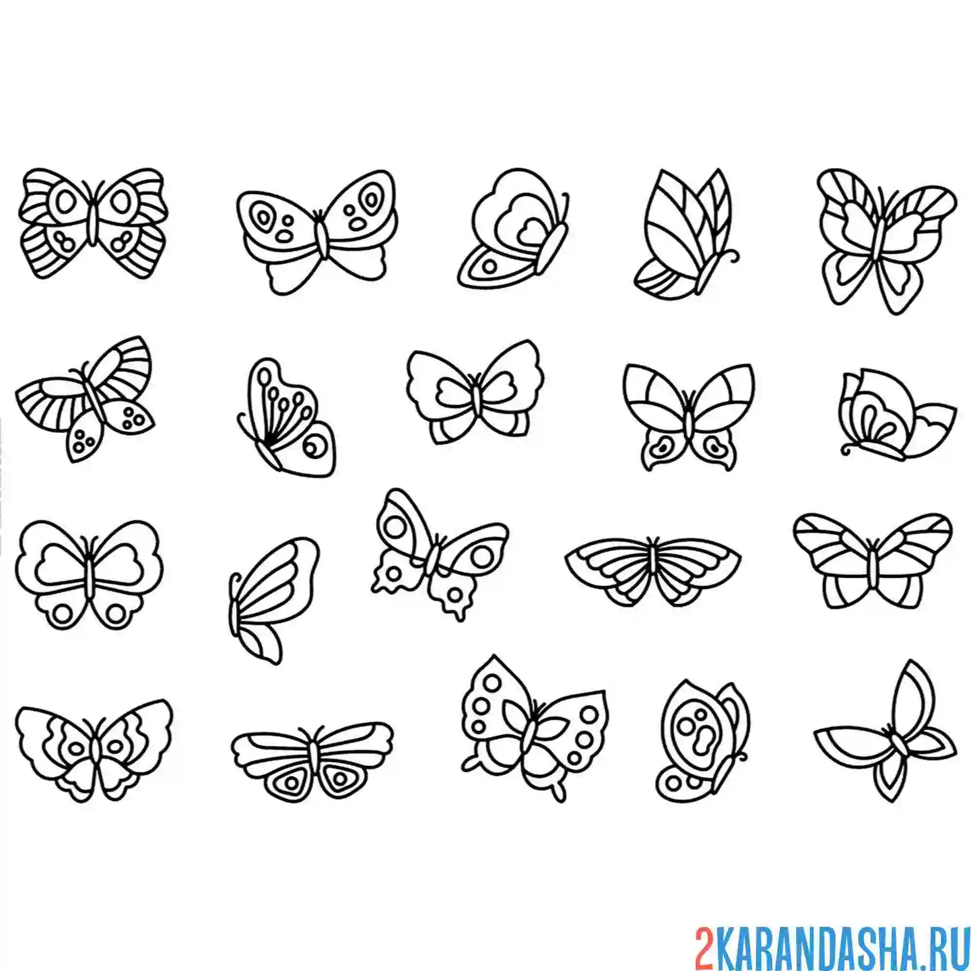 Раскраска насекомые разные бабочки