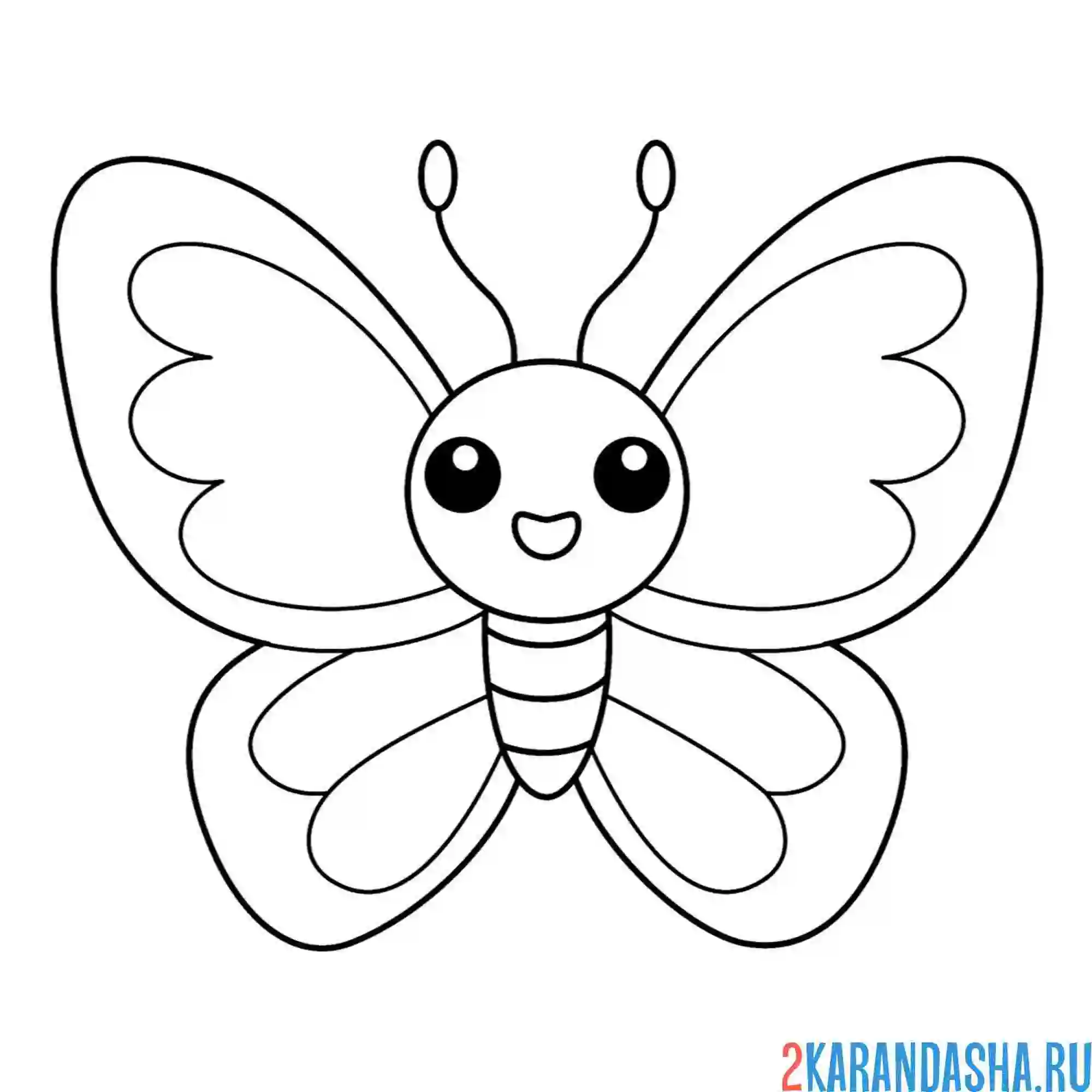 Раскраска насекомое бабочка в полете