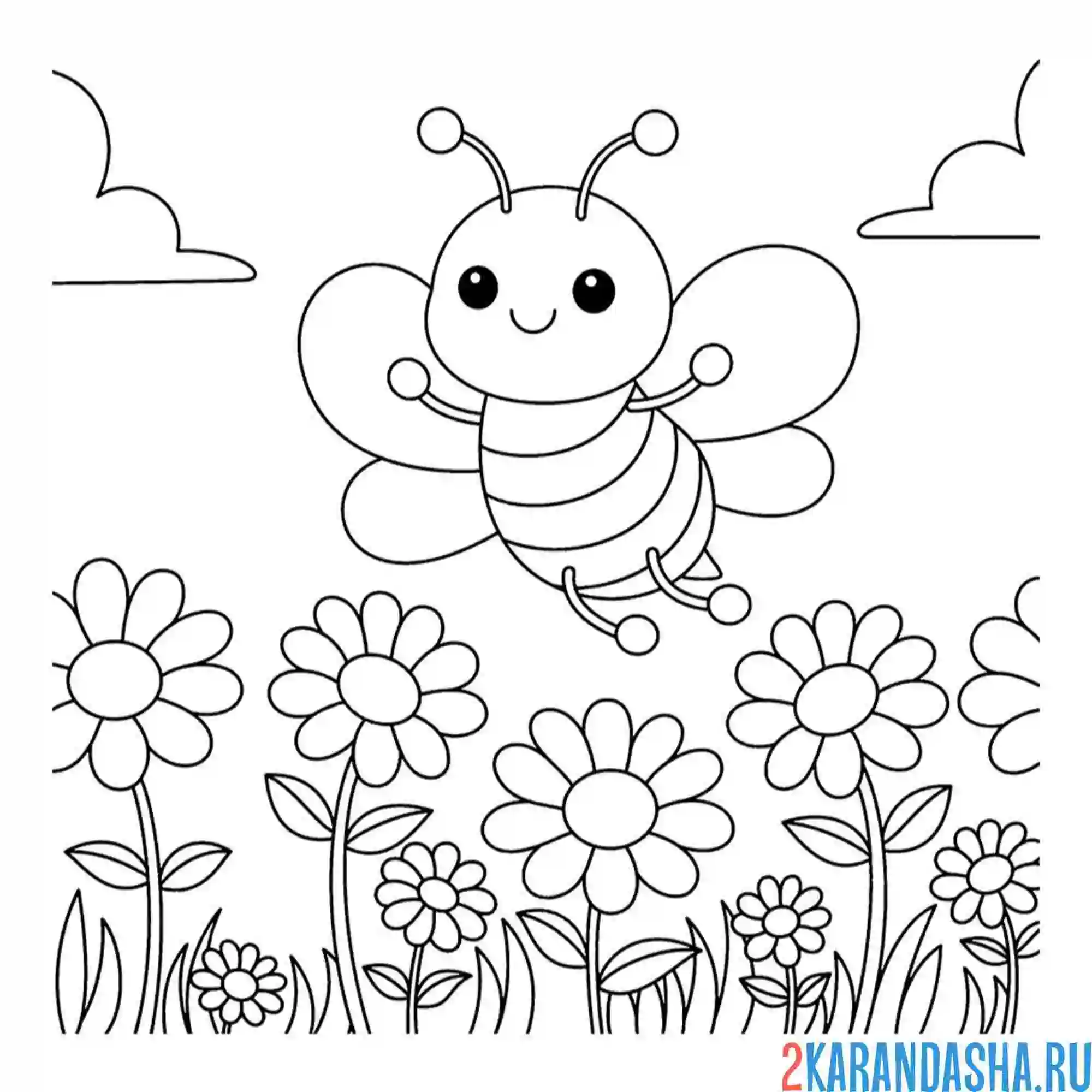 Раскраска насекомое пчелка над цветами