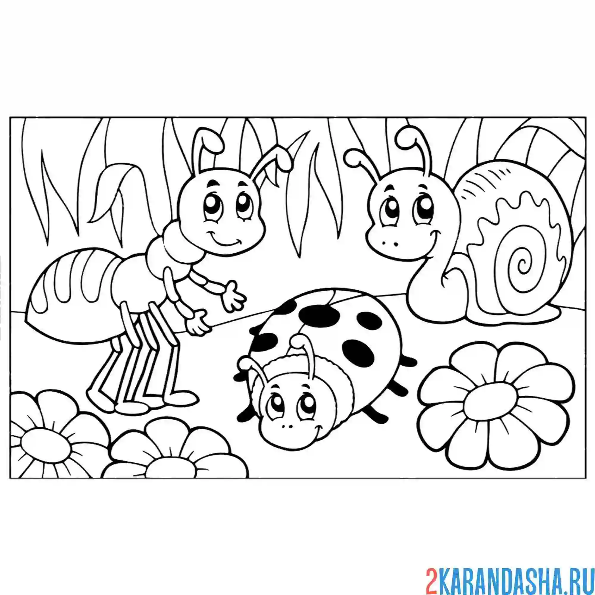 Раскраска насекомые муравей, божья коровка, улитка