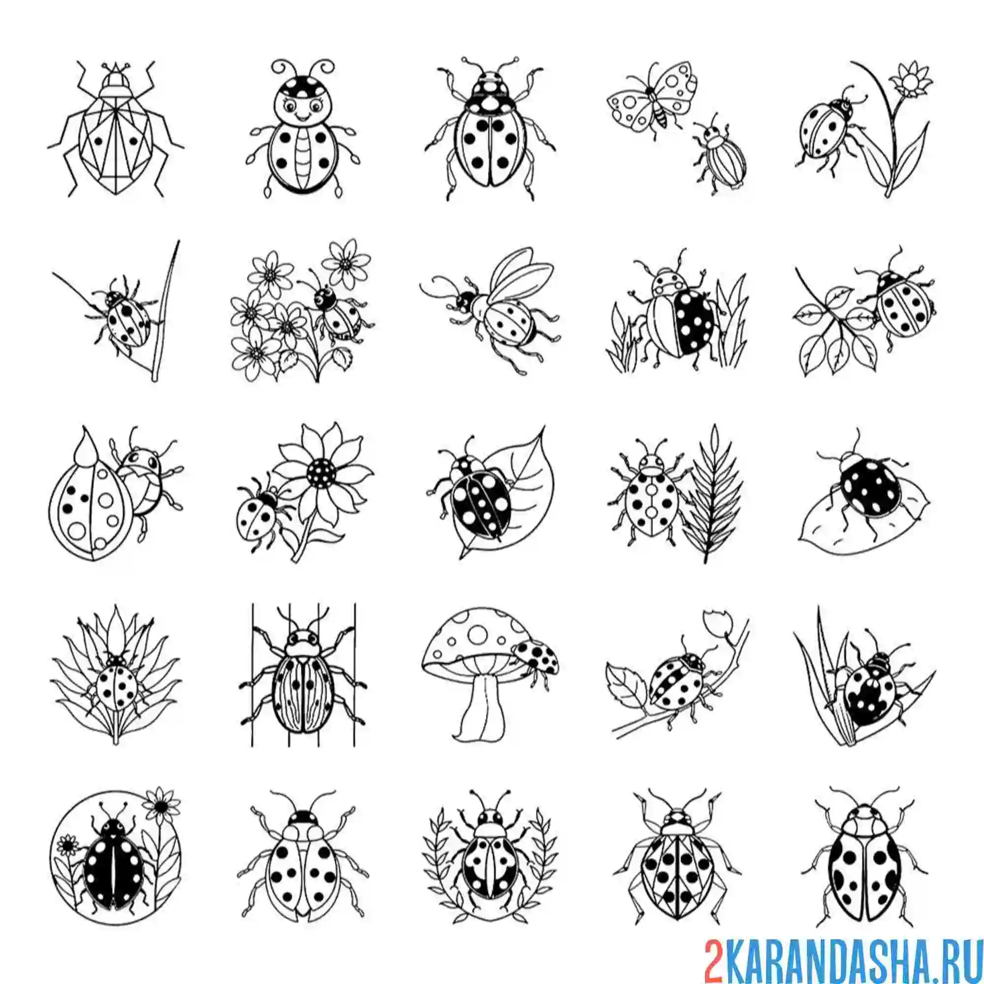 Раскраска выбери свое насекомое