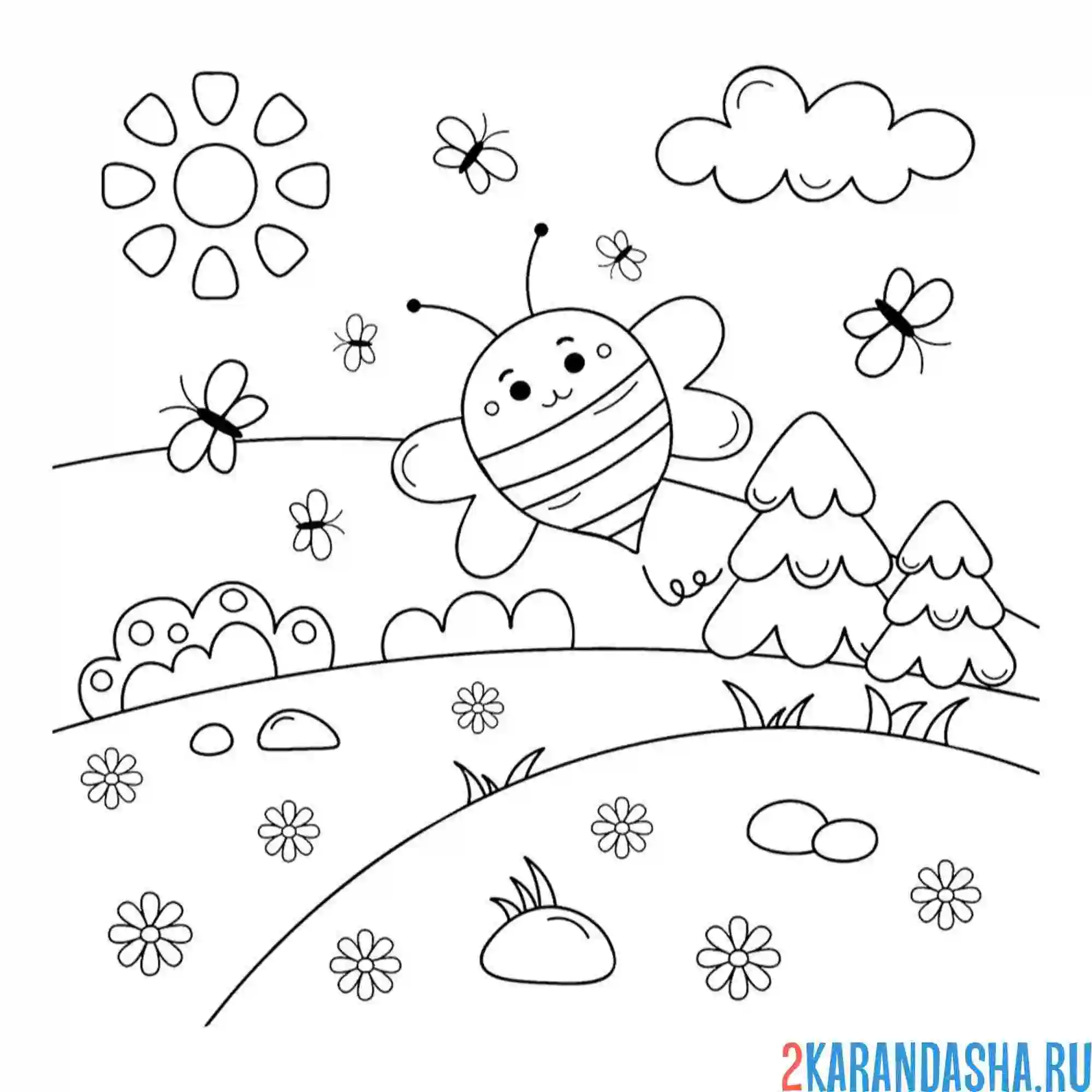Раскраска насекомые жужу пчелка
