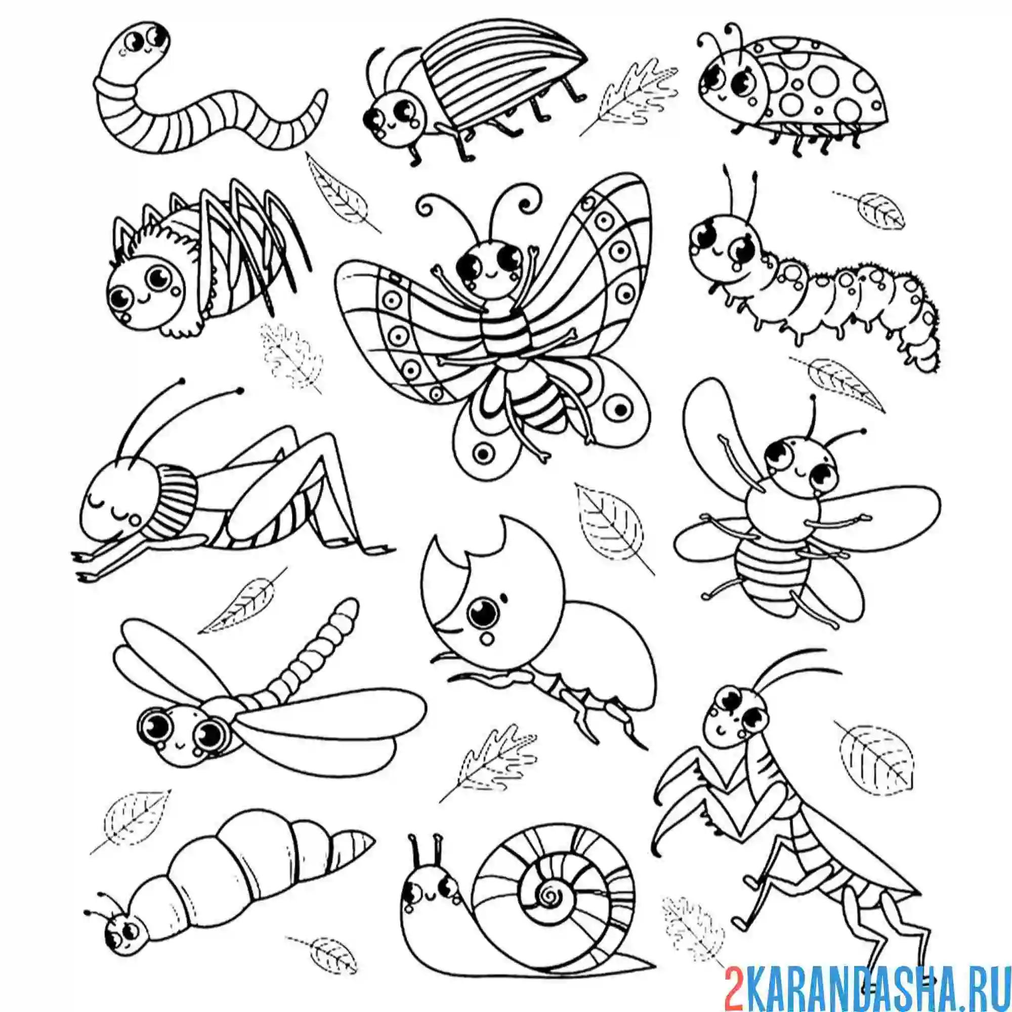 Раскраска насекомые огромный выбор