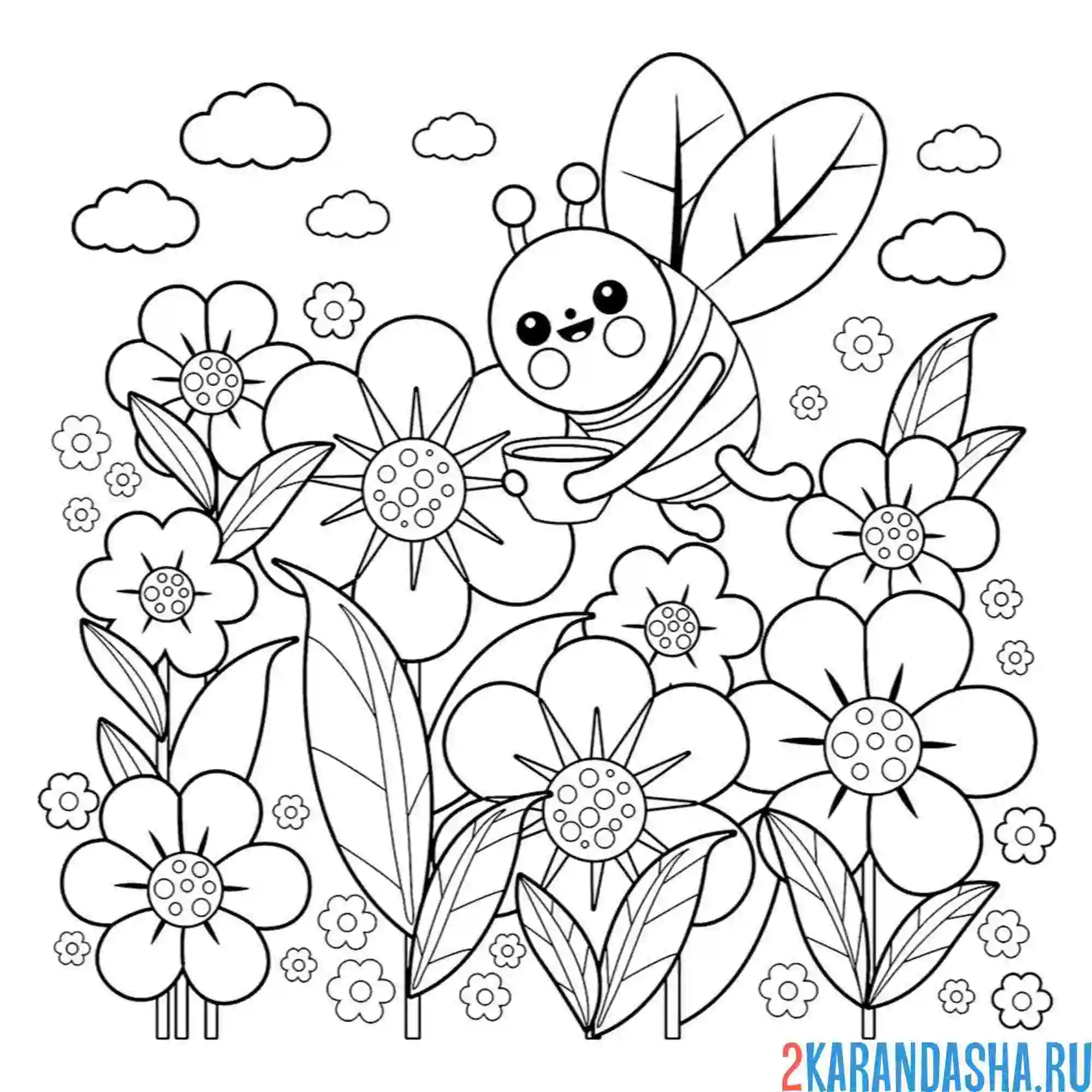 Раскраска пчелка насекомые