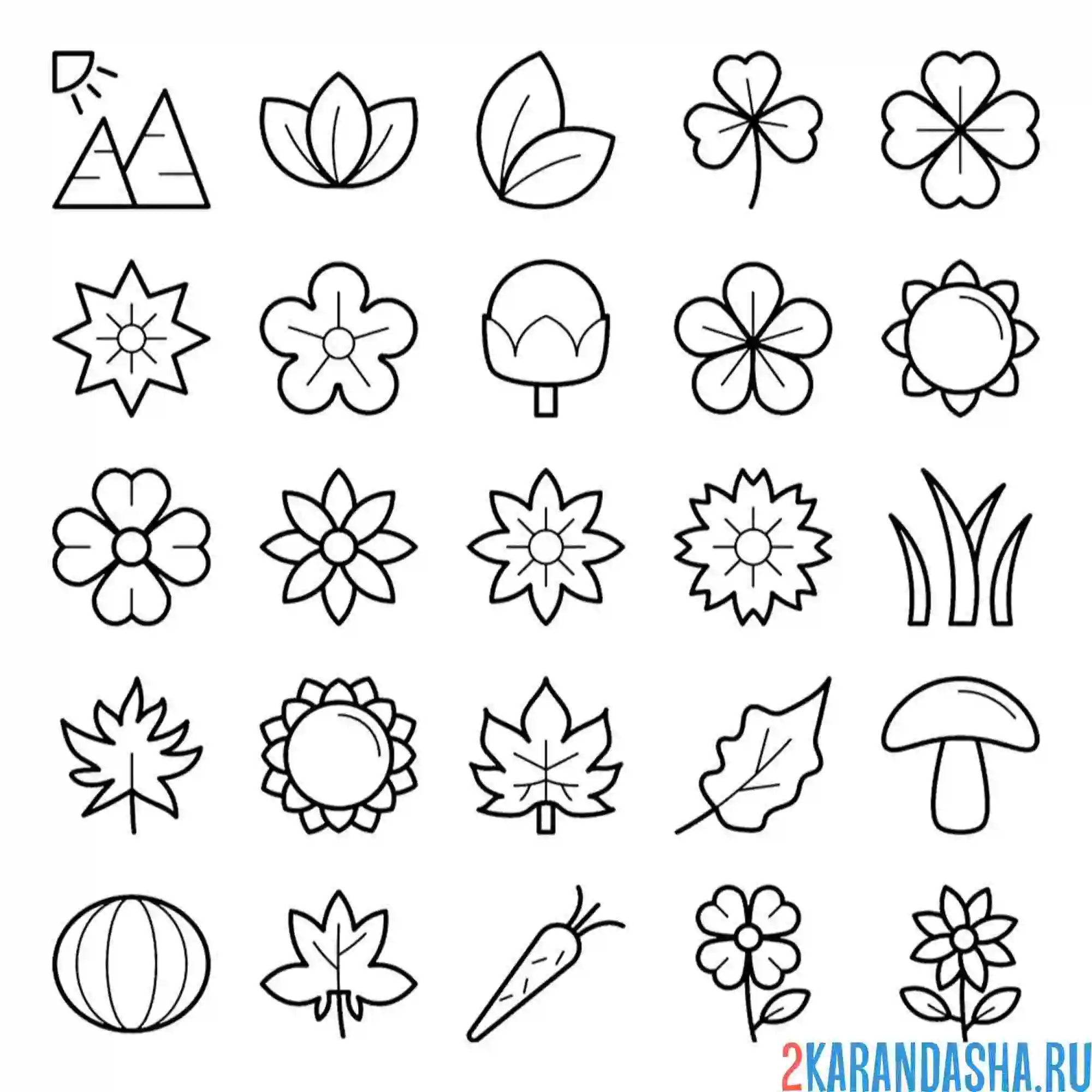 Раскраска времена года иконки лето