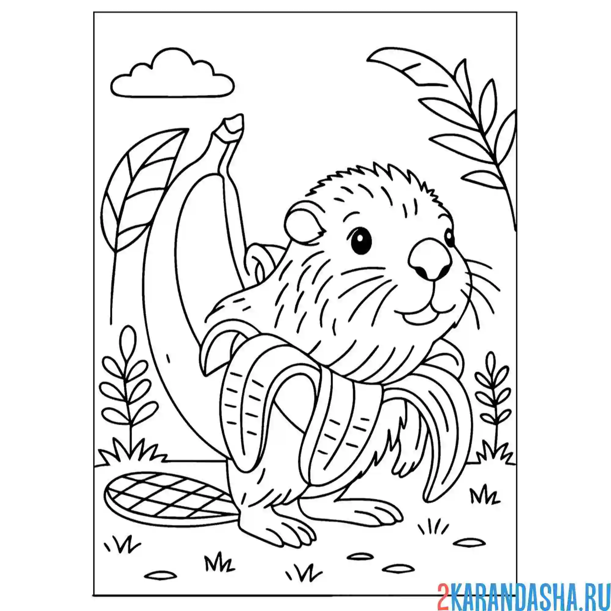 Раскраска итальянские животные bobrelli-bananelli