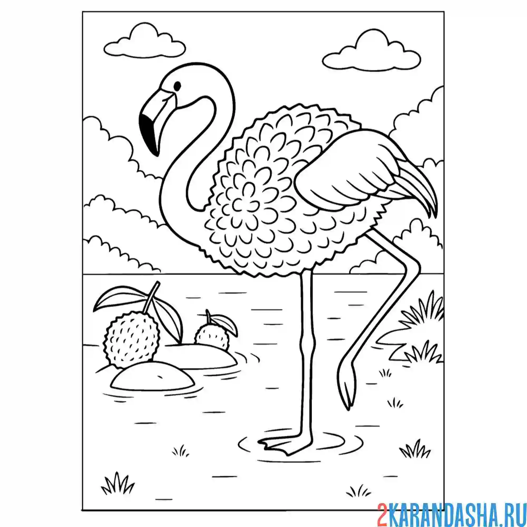 Раскраска фламинго-гули-гули
