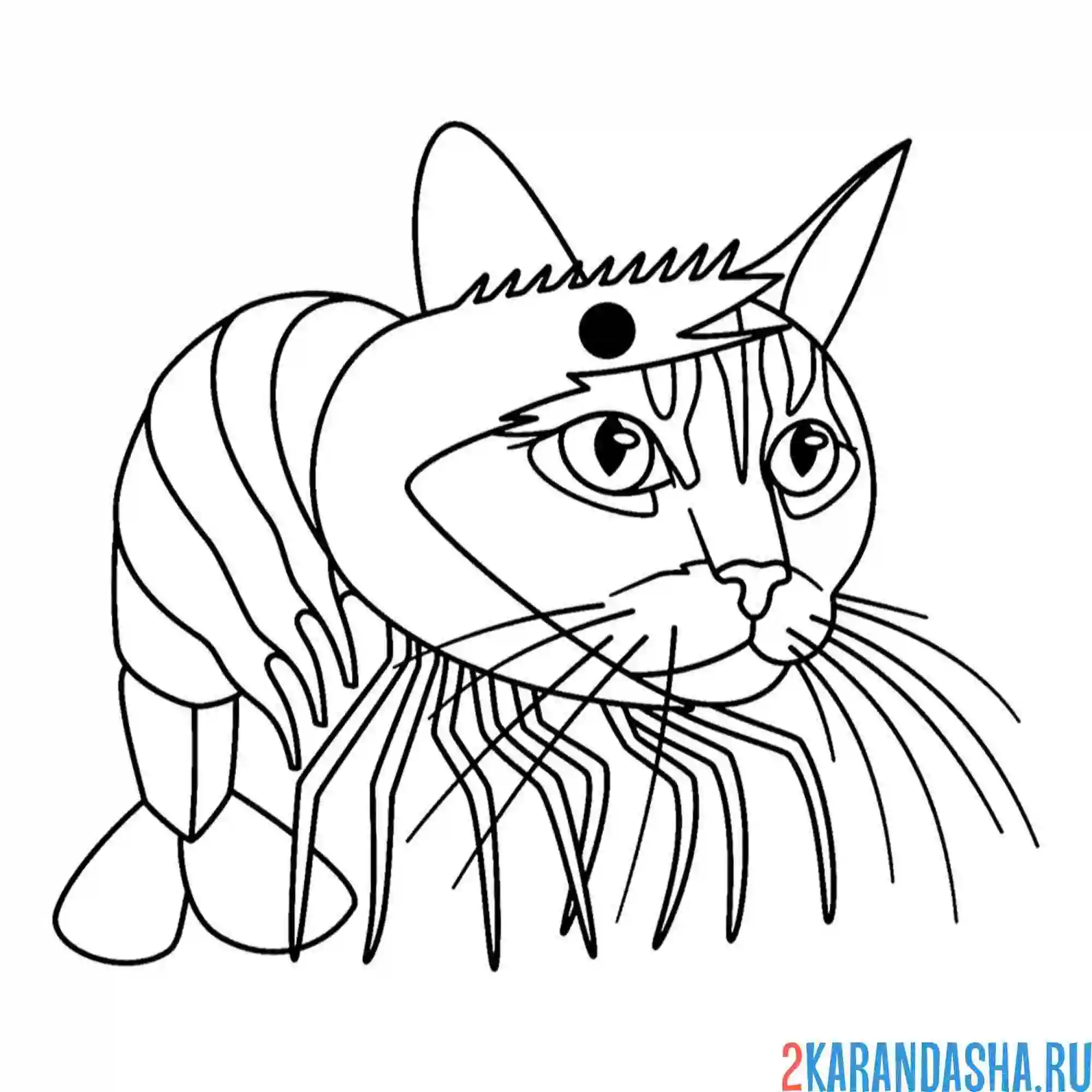 Раскраска трулимеро труличина итальянские