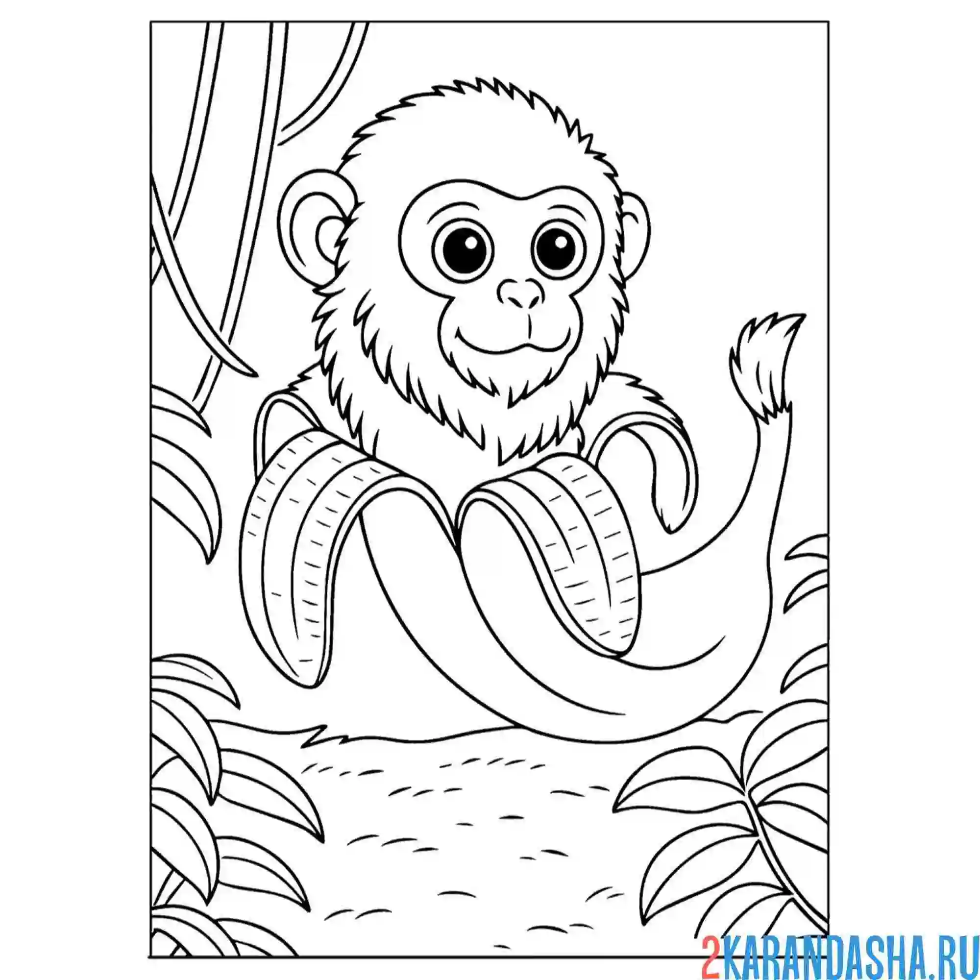 Раскраска макакини-бананини