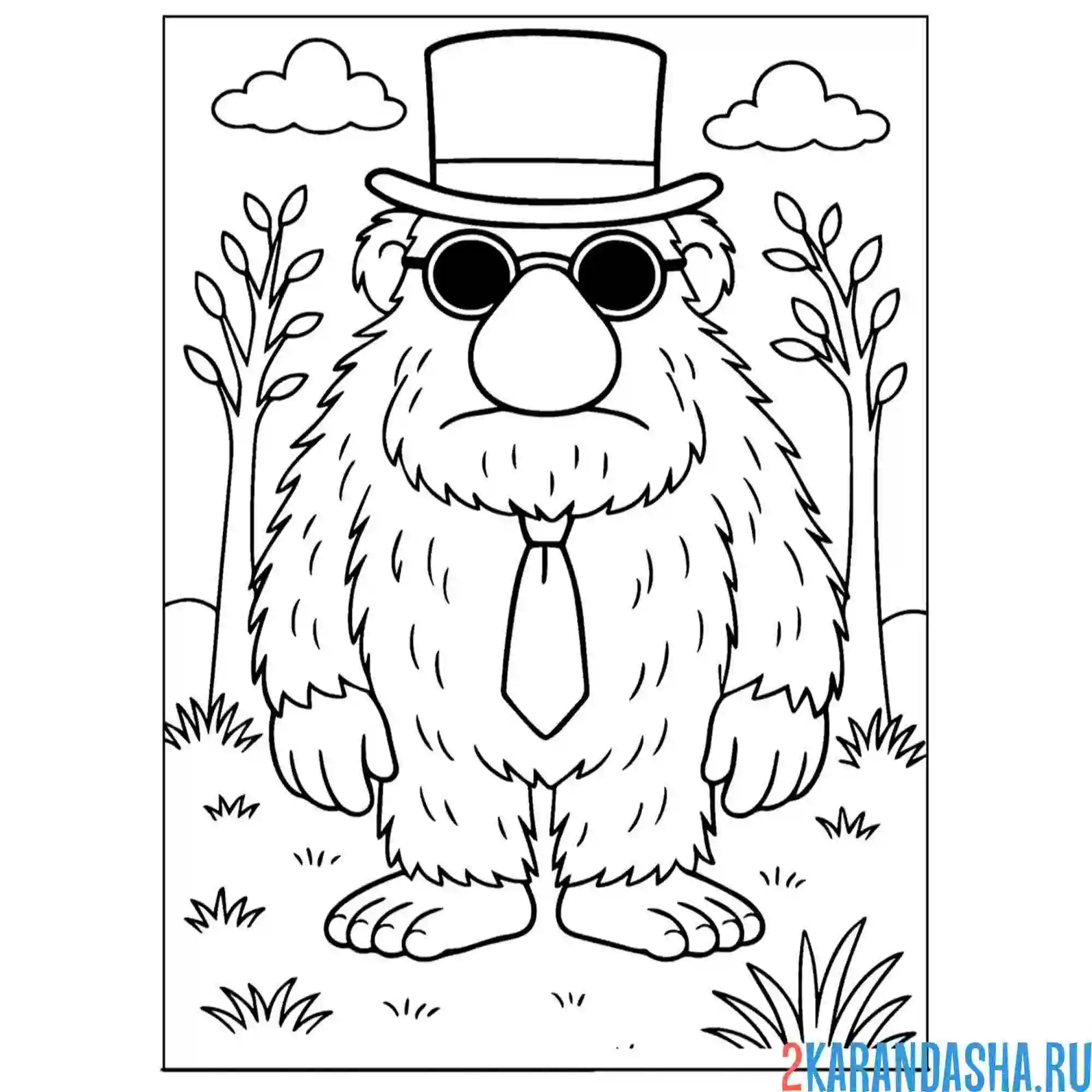 Раскраска матео