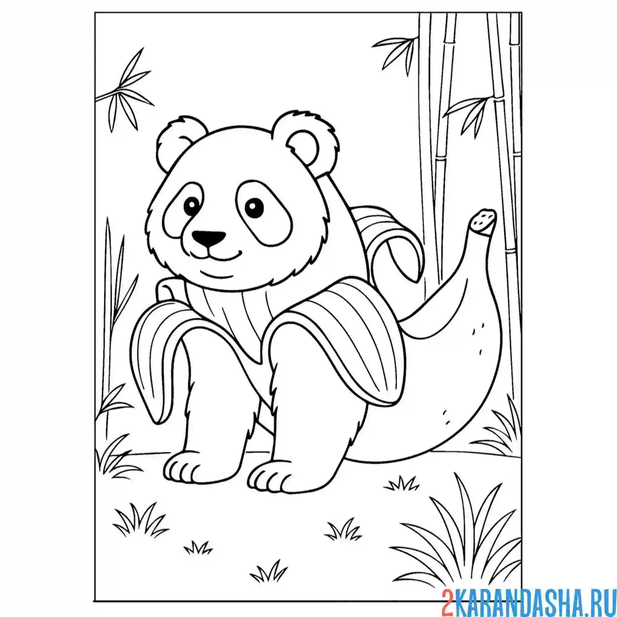 Раскраска пандачини-бананини