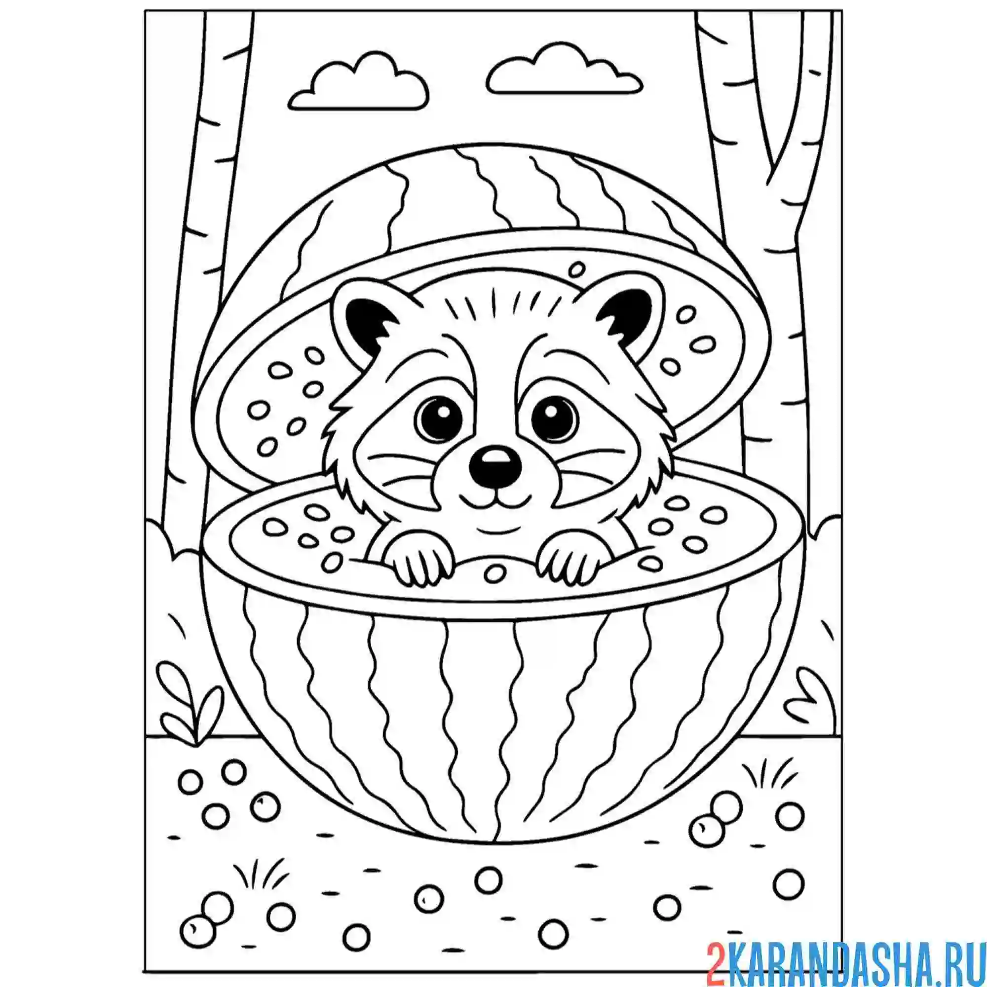 Раскраска енот-арбузино