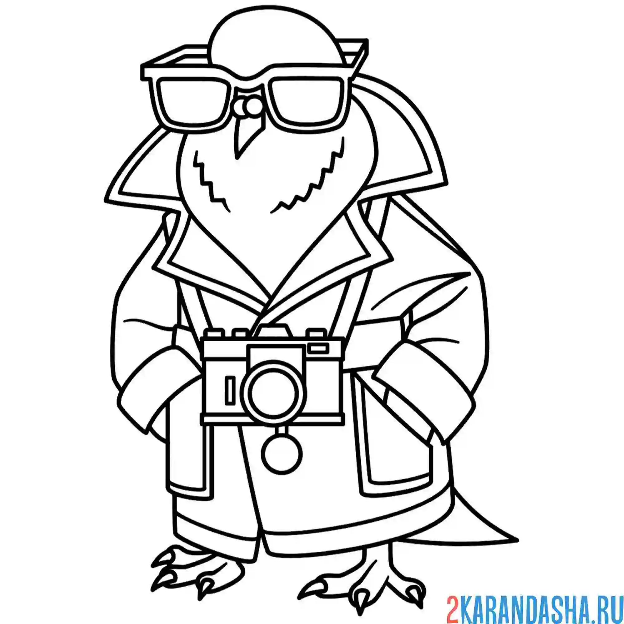 Раскраска шпиониро голубиро итальянские животные