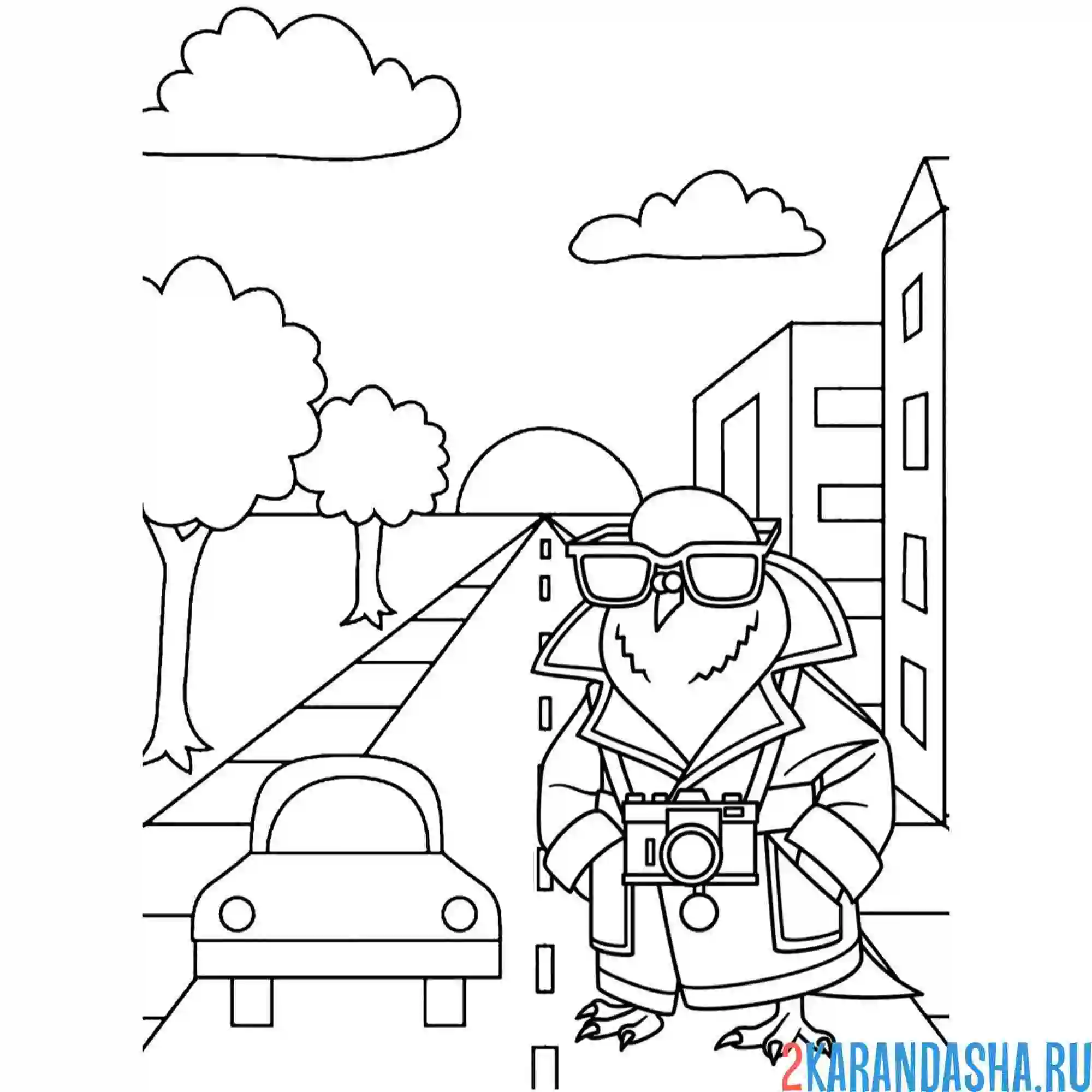 Раскраска шпиониро голубиро