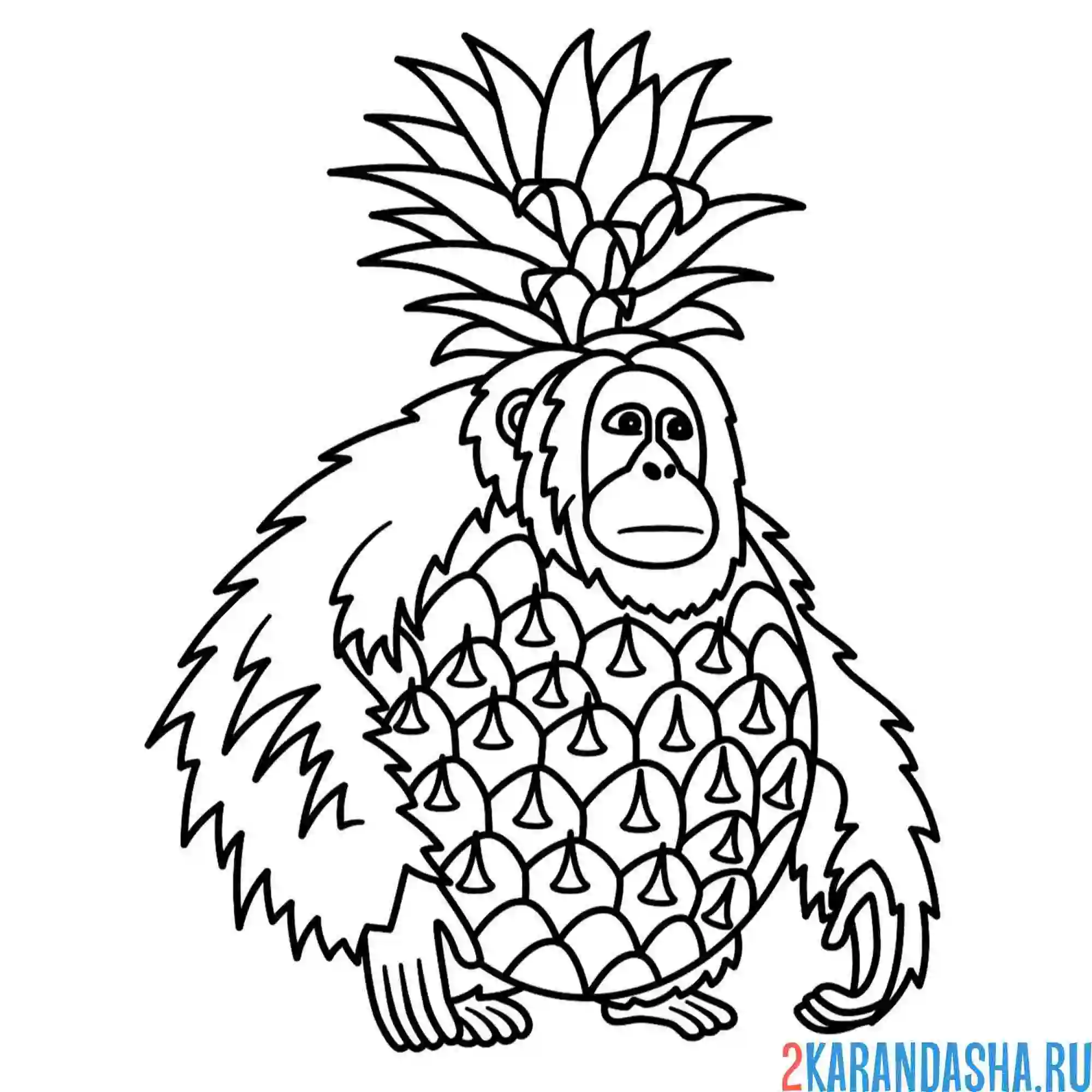 Раскраска орангутини ананасини