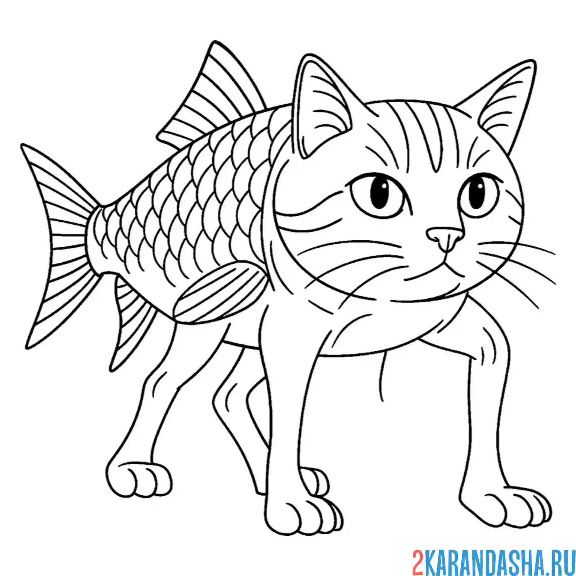 Раскраска трулимеро труличина