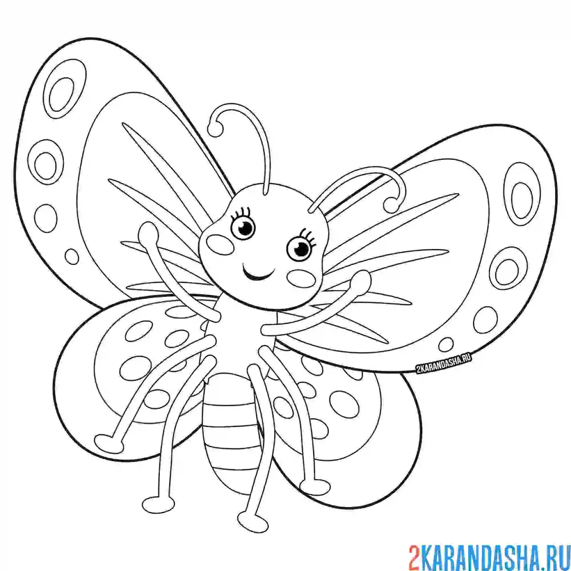 Раскраска детская картинка бабочки