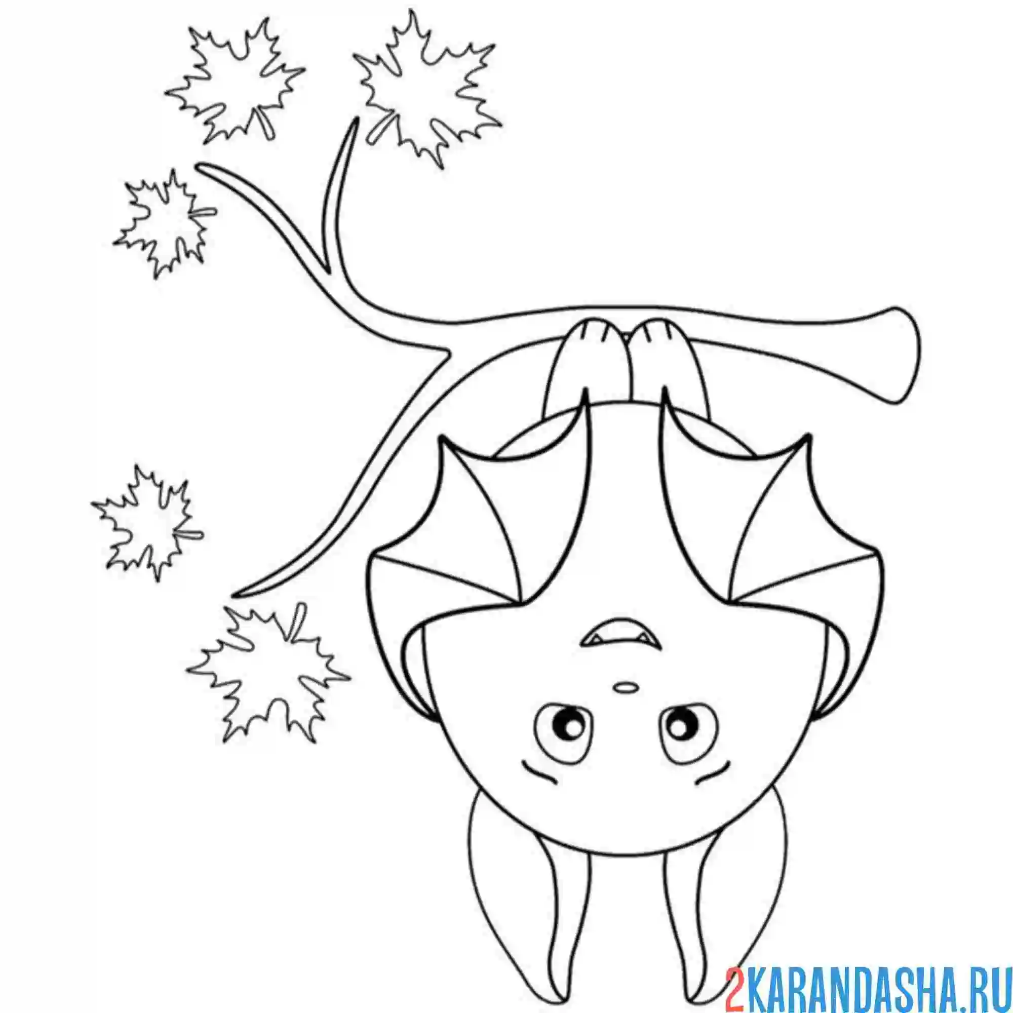 Раскраска летучая мышка висит