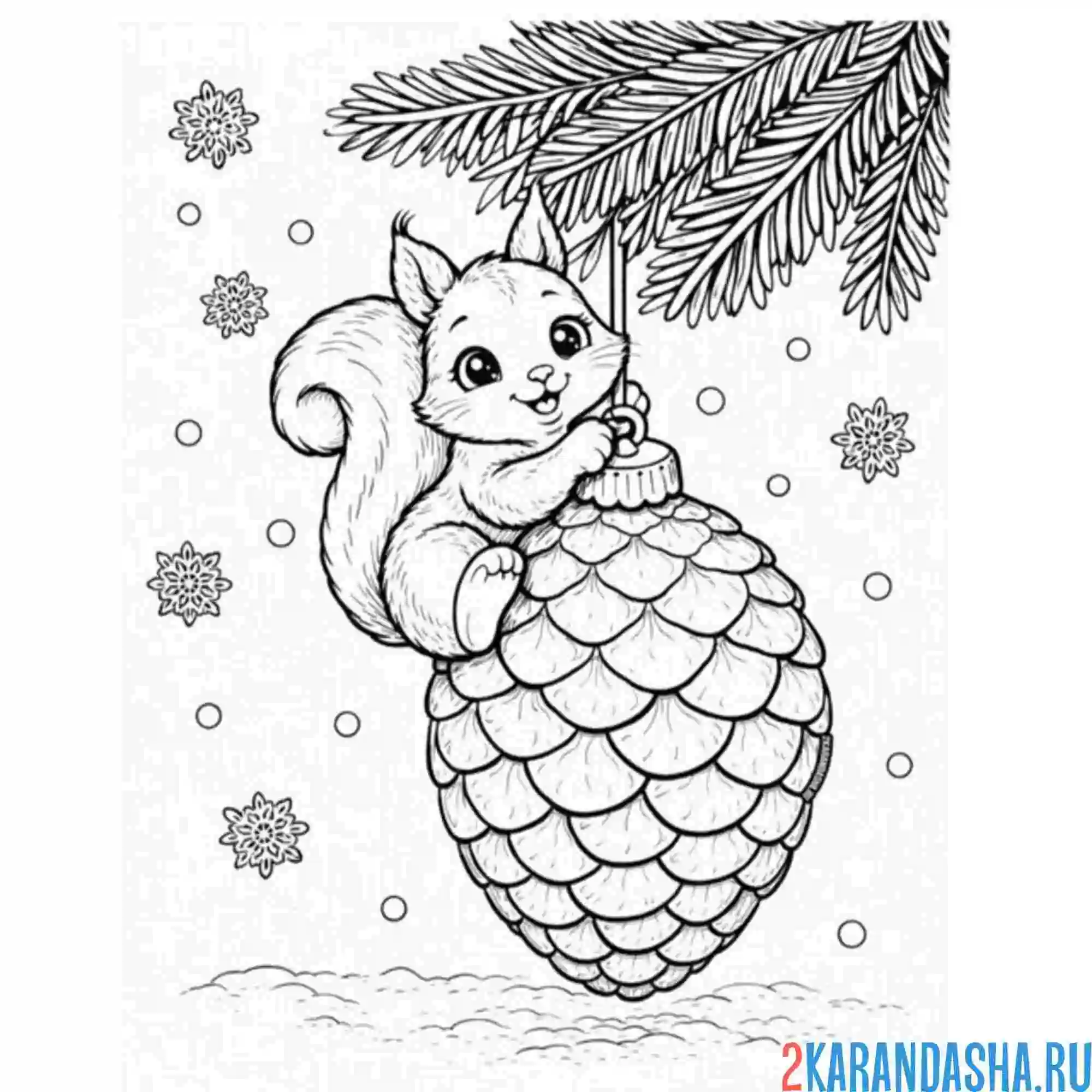 Раскраска белочка на шишке