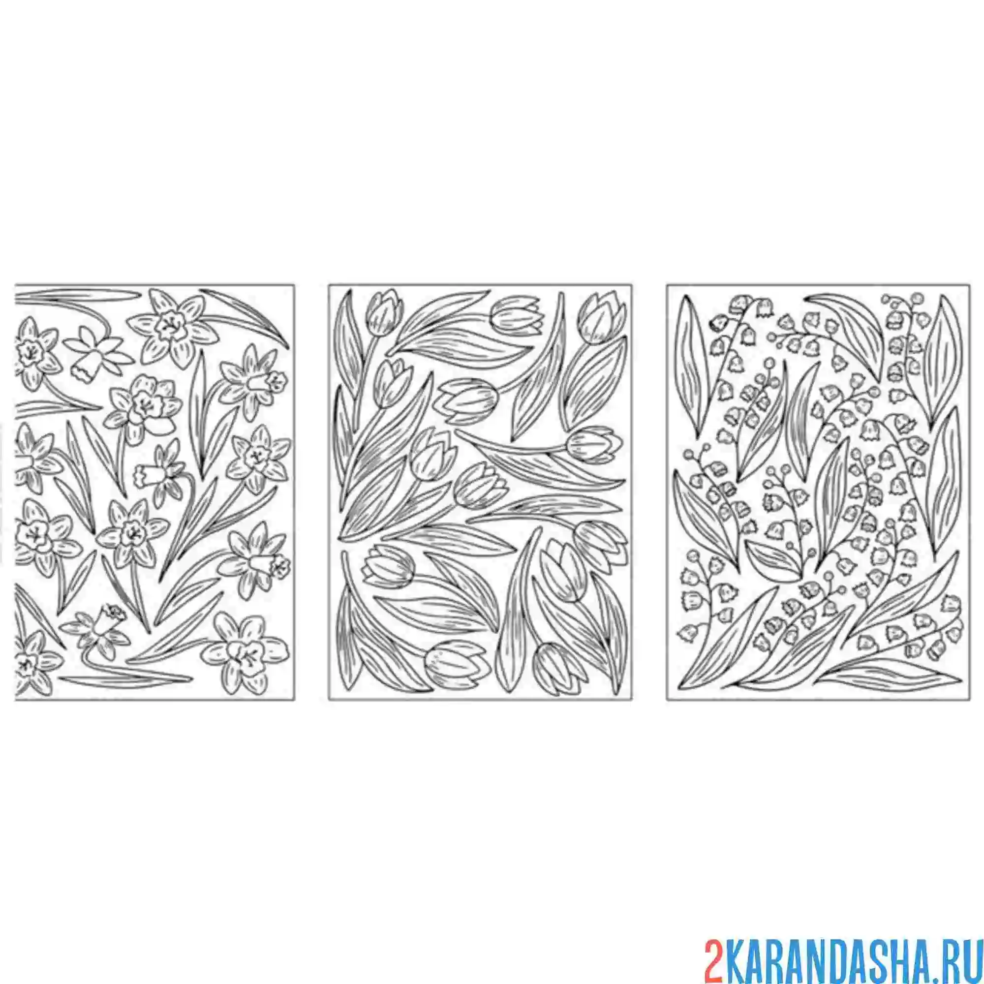 Раскраска ландыши и тюльпаны