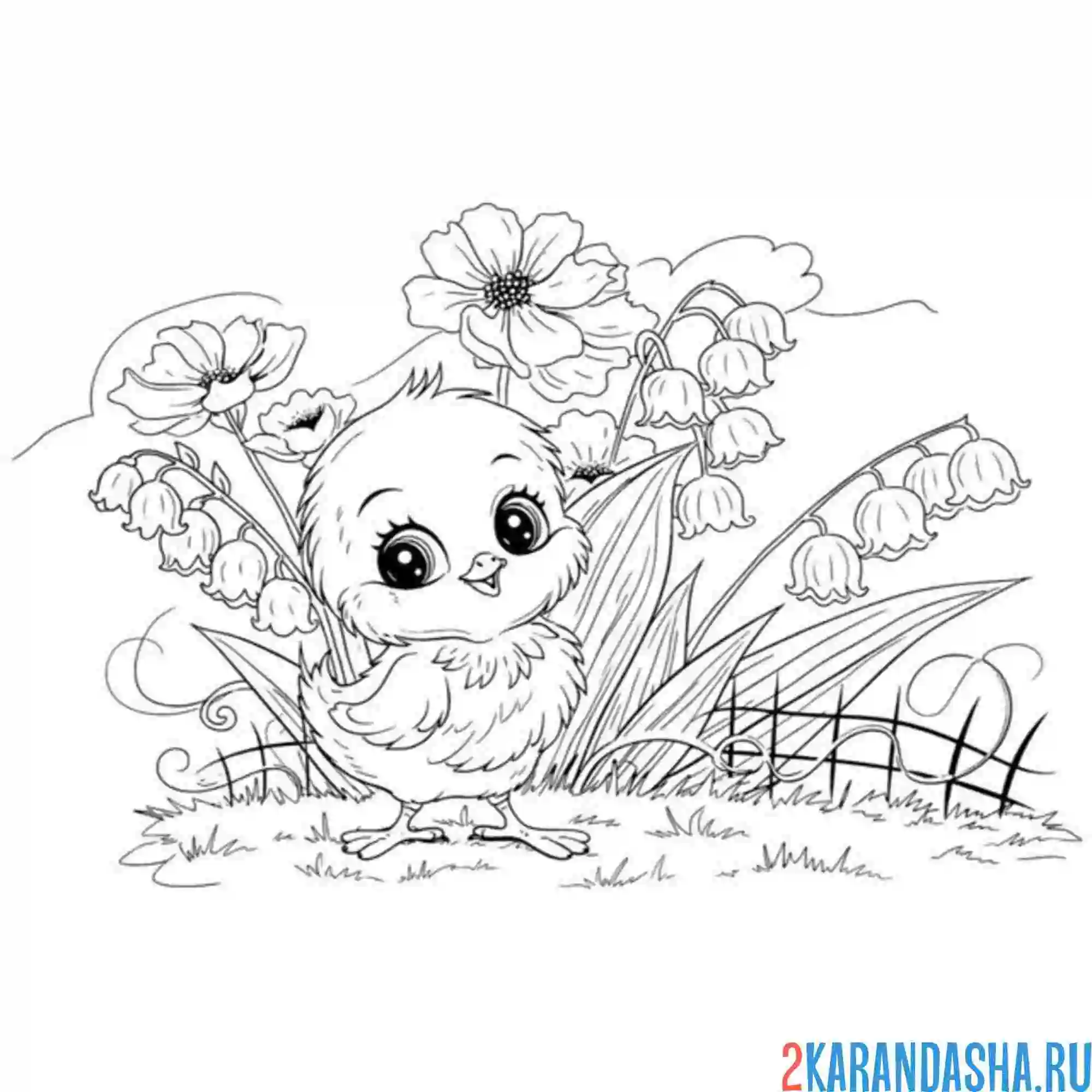 Раскраска цыпленок и ландыши