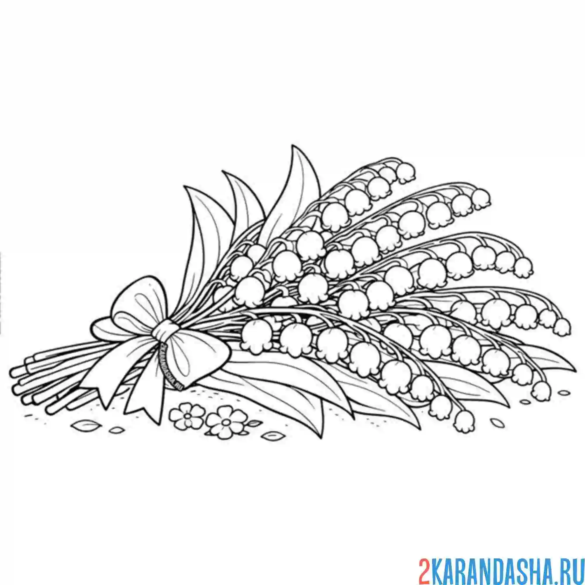 Раскраска ландыши лежат