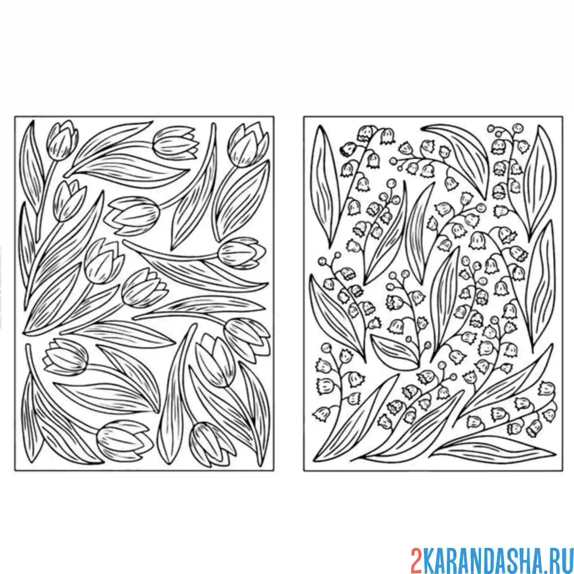 Раскраска тюльпаны и ландыши