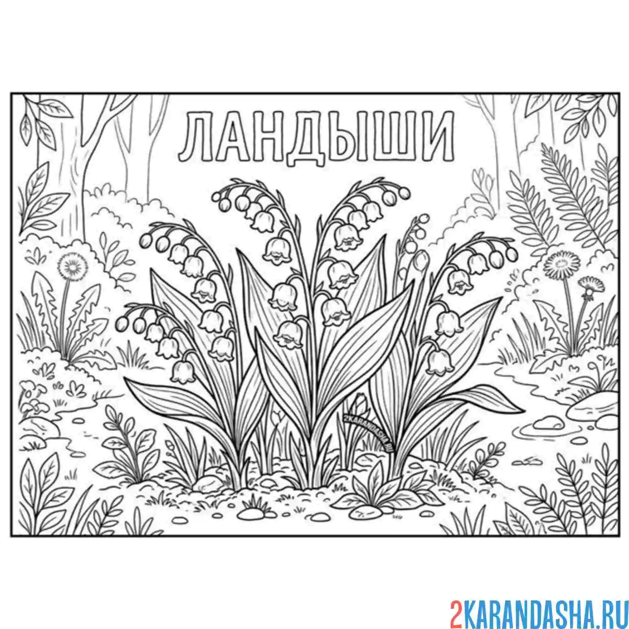 Раскраска ландыши в лесу