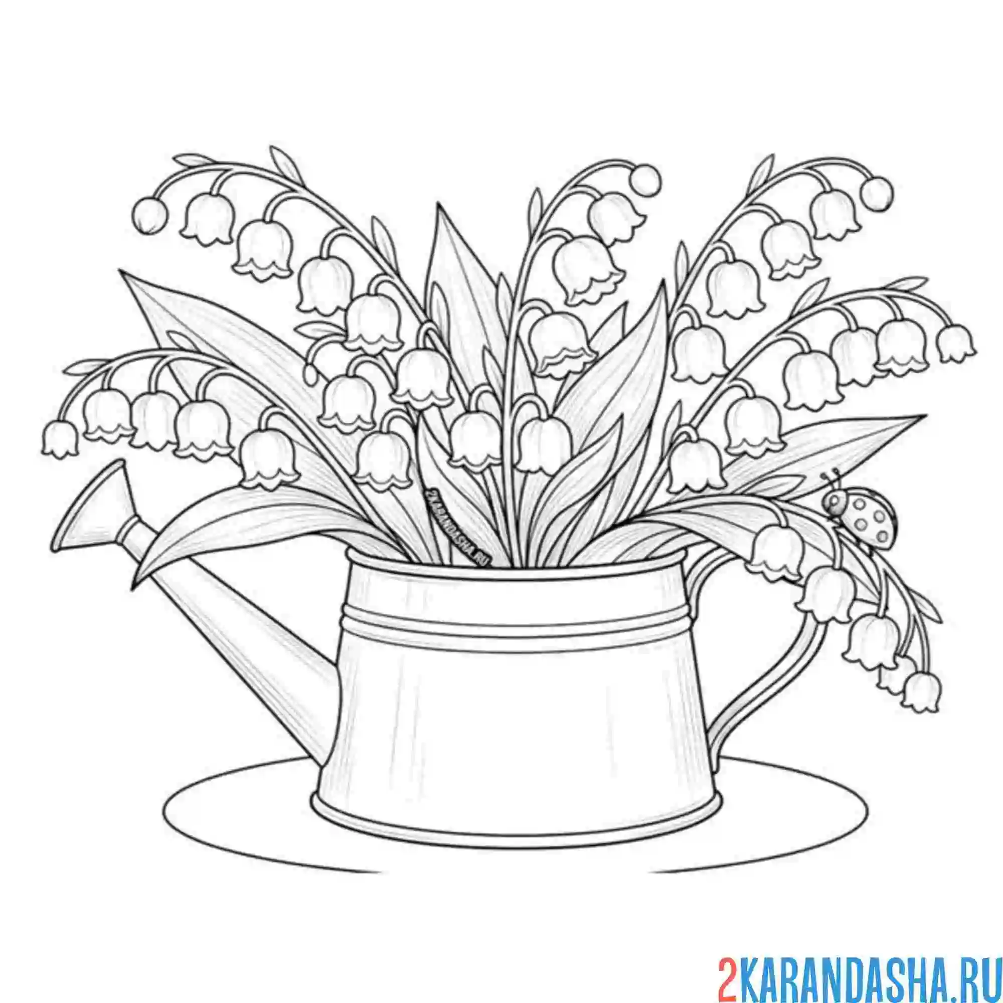 Раскраска ландыши в лейке