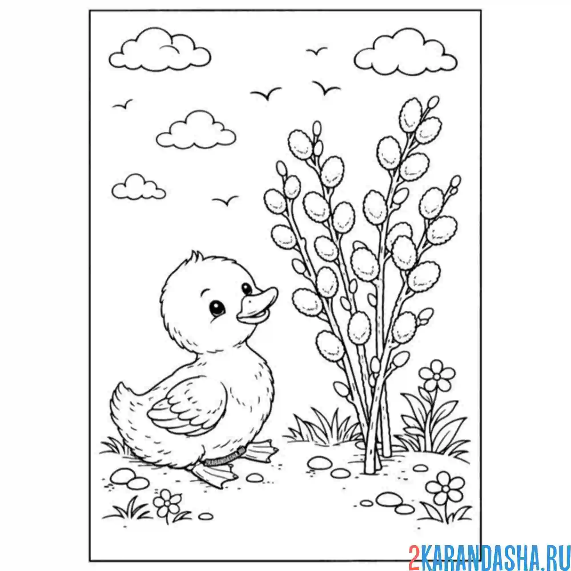 Раскраска утенок и верба