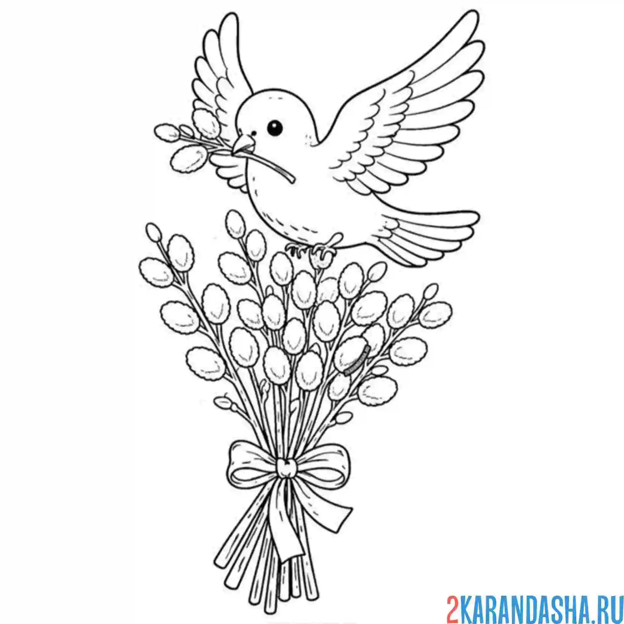 Раскраска голубь мира и верба