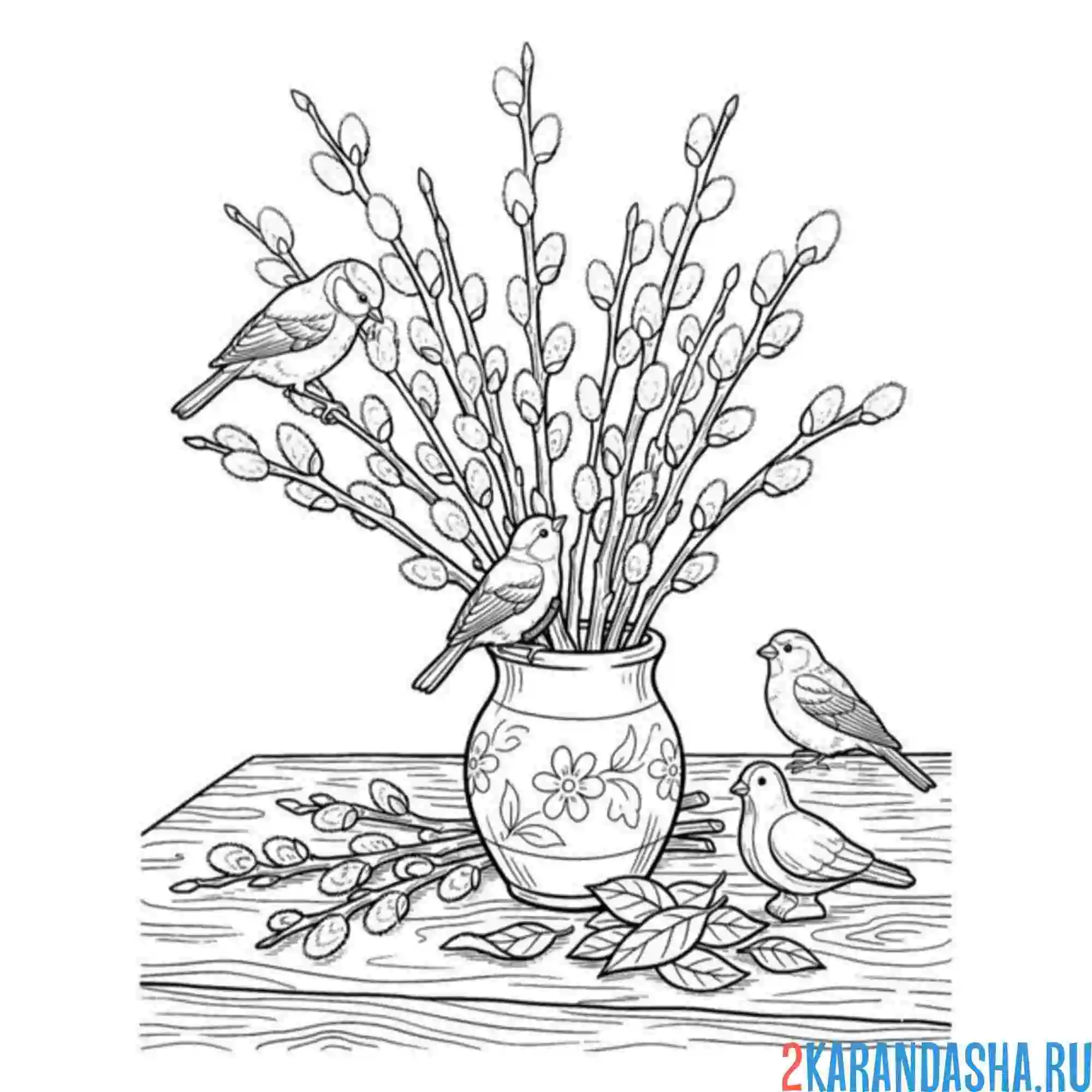 Раскраска птички и верба