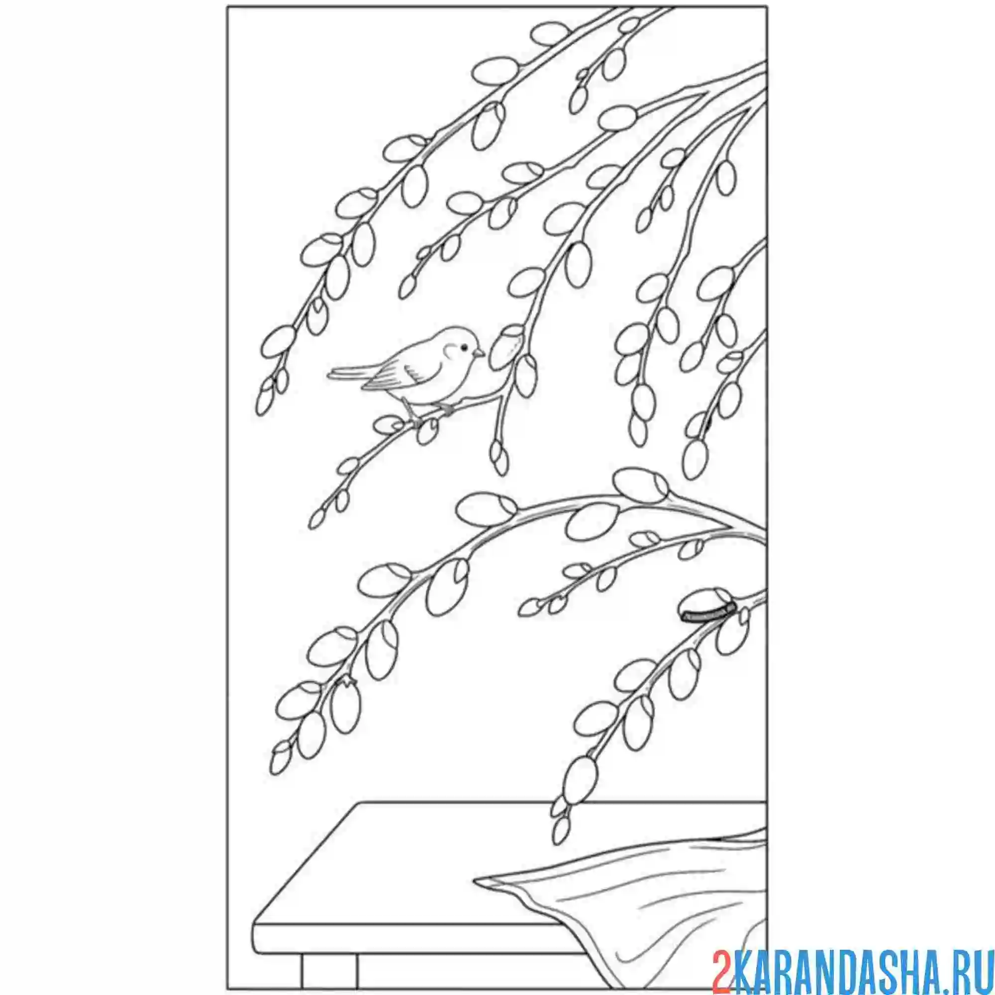 Раскраска верба и стол