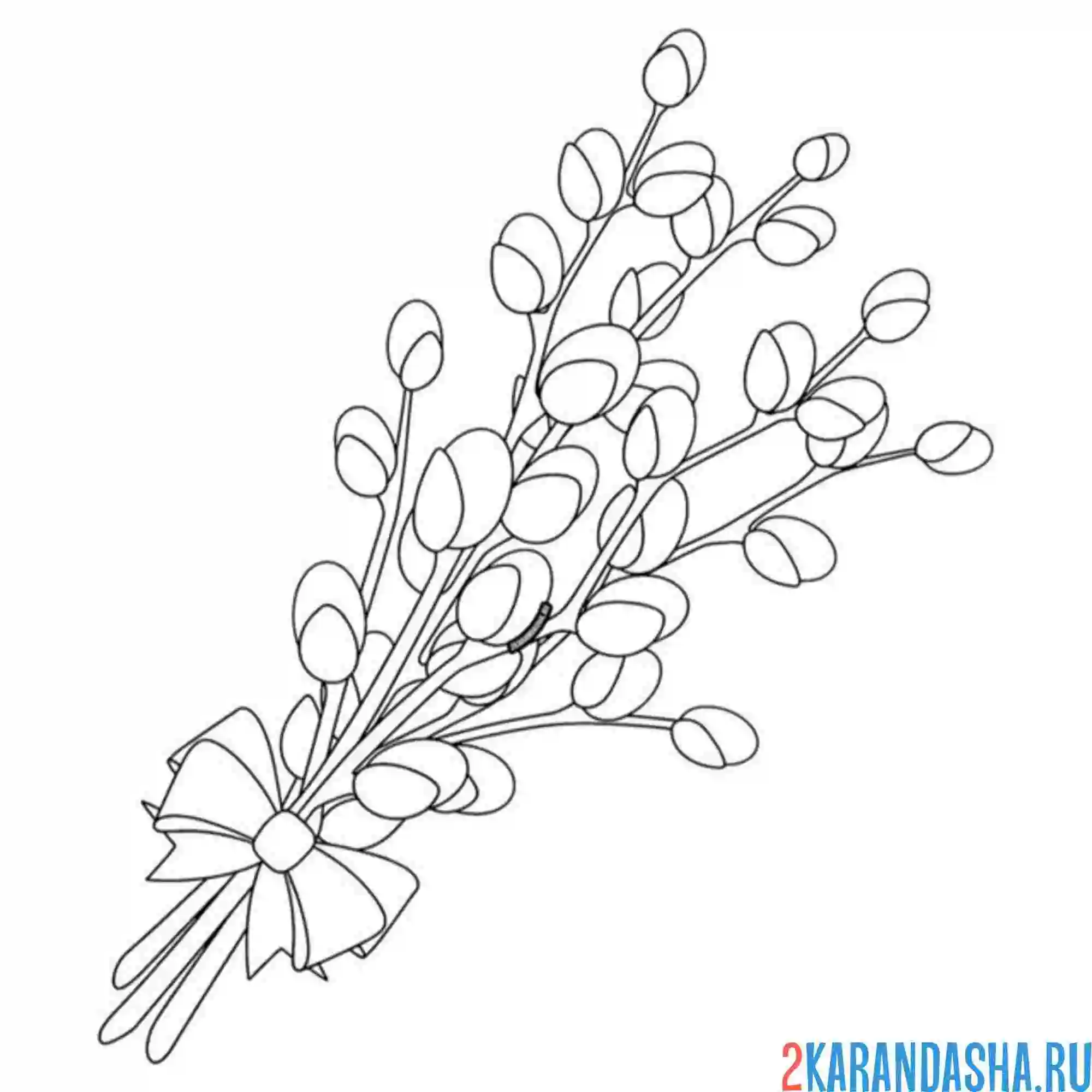 Раскраска бантик на вербе