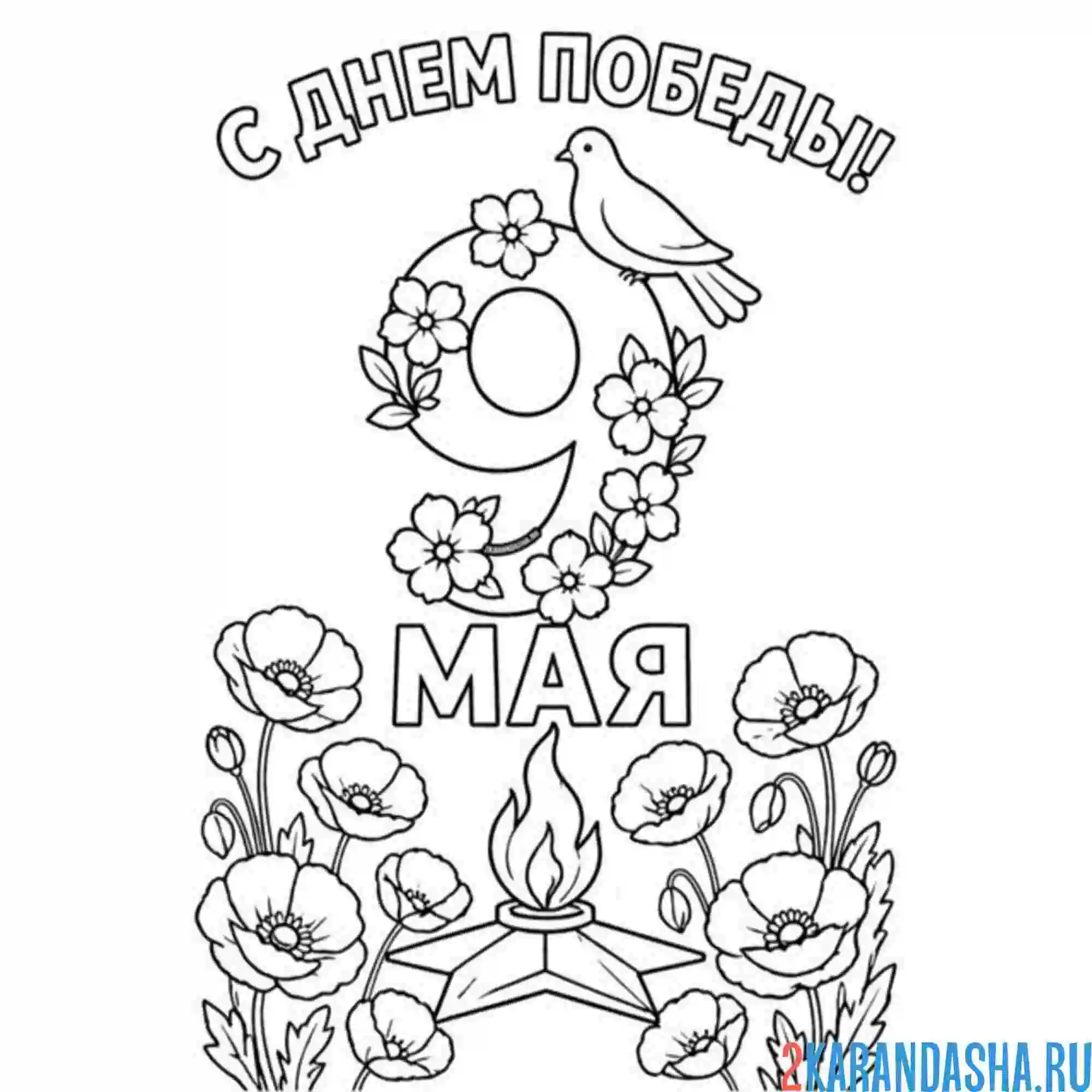 Раскраска с днем победы 9 мая голубь мира