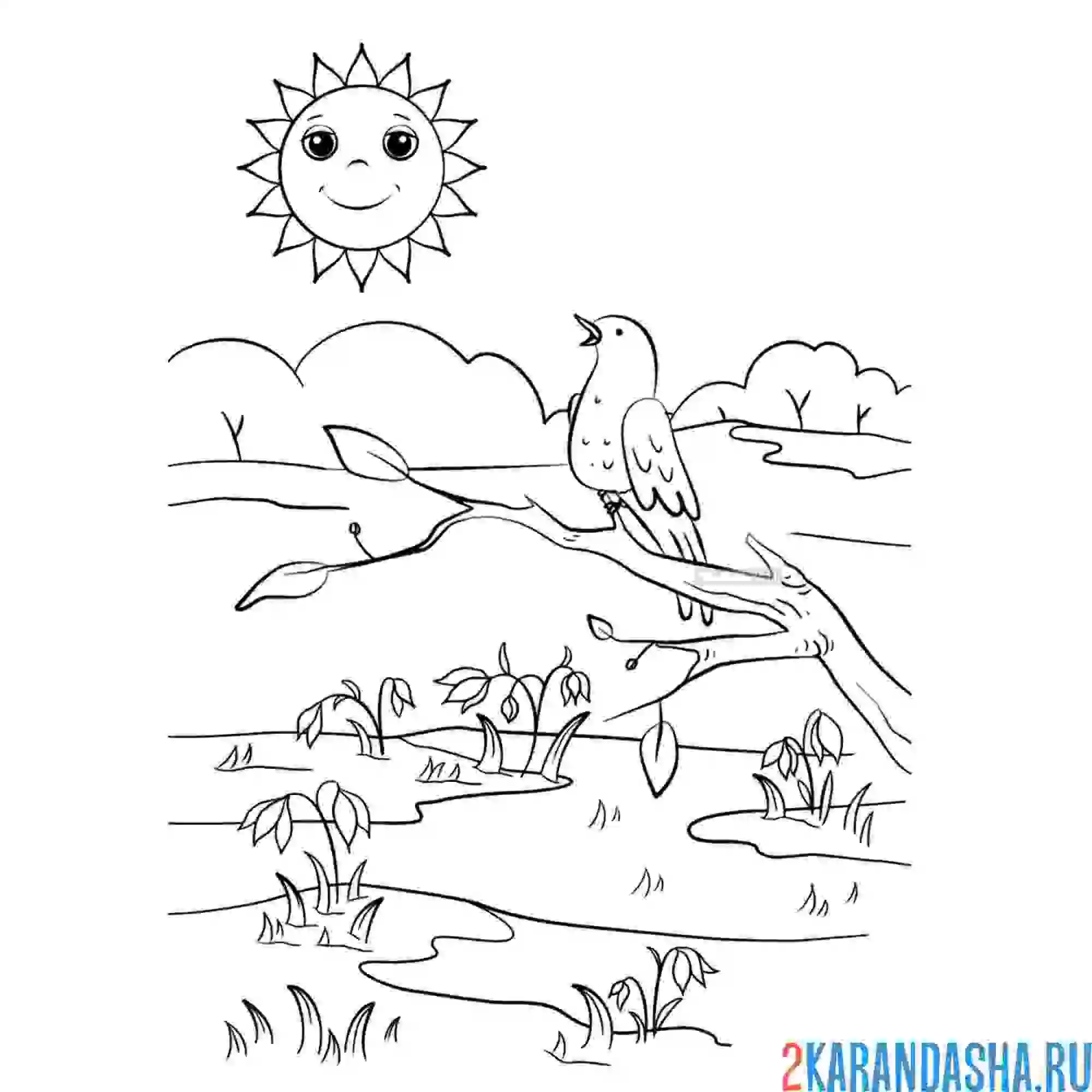Раскраска весеннее солнце