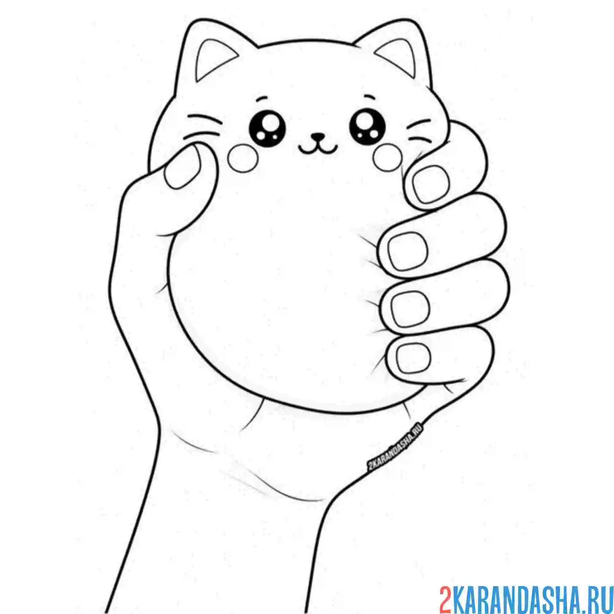 Раскраска сквиши котик в руке