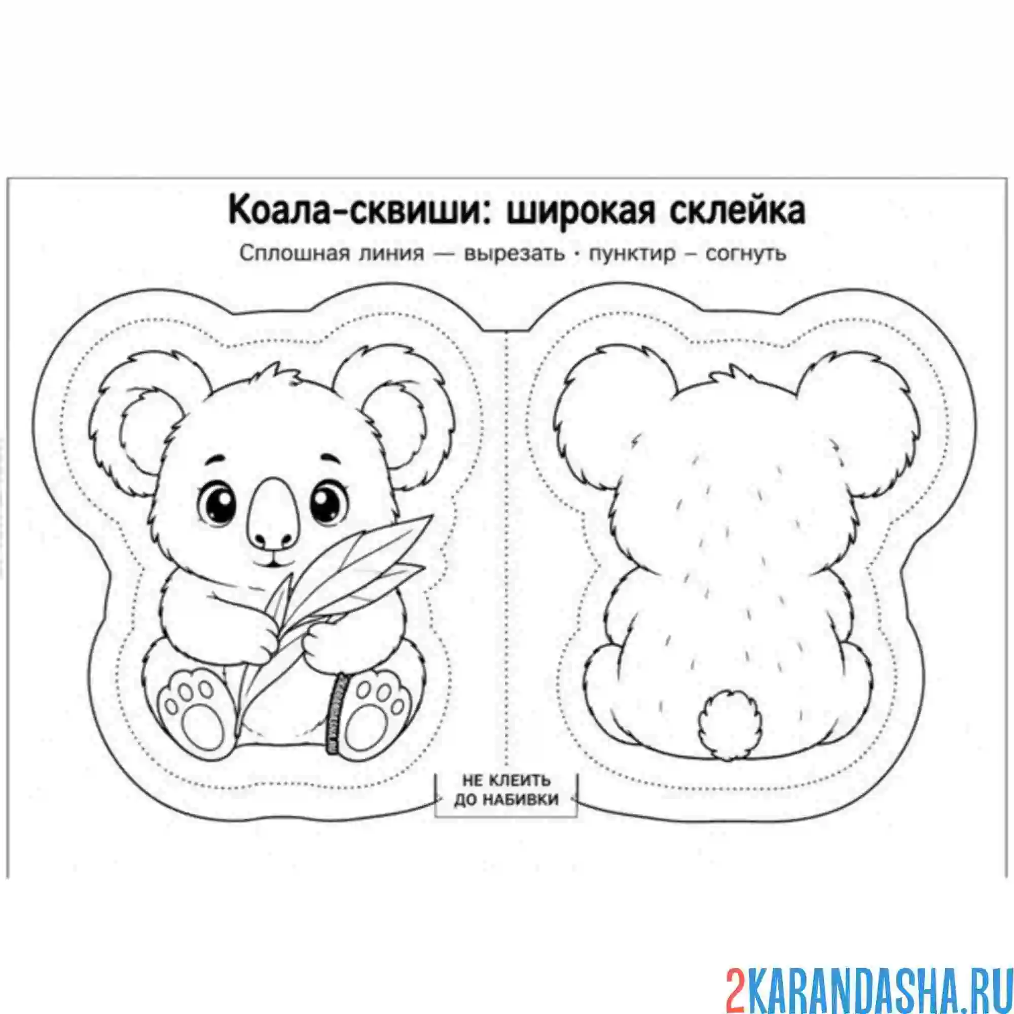 Раскраска сквиши коала бумажная