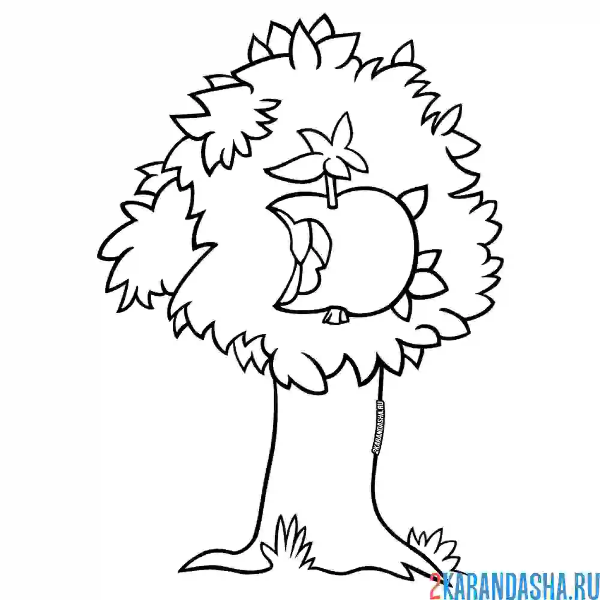 Раскраска дерево с яблоком, природа