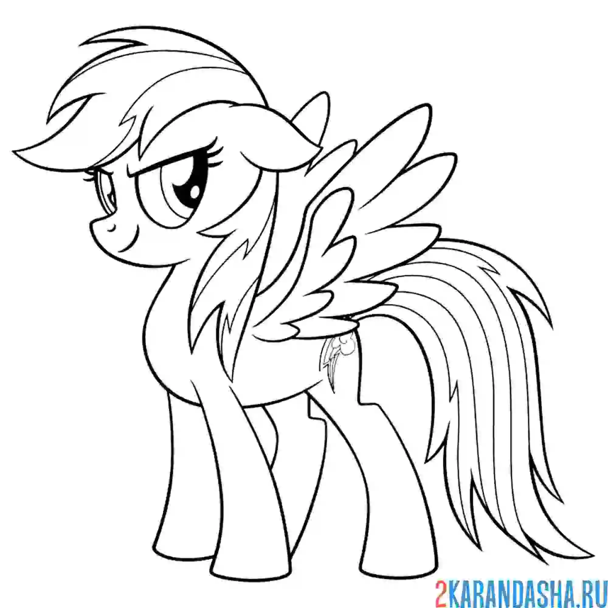 Раскраска радуга дэш с крыльями