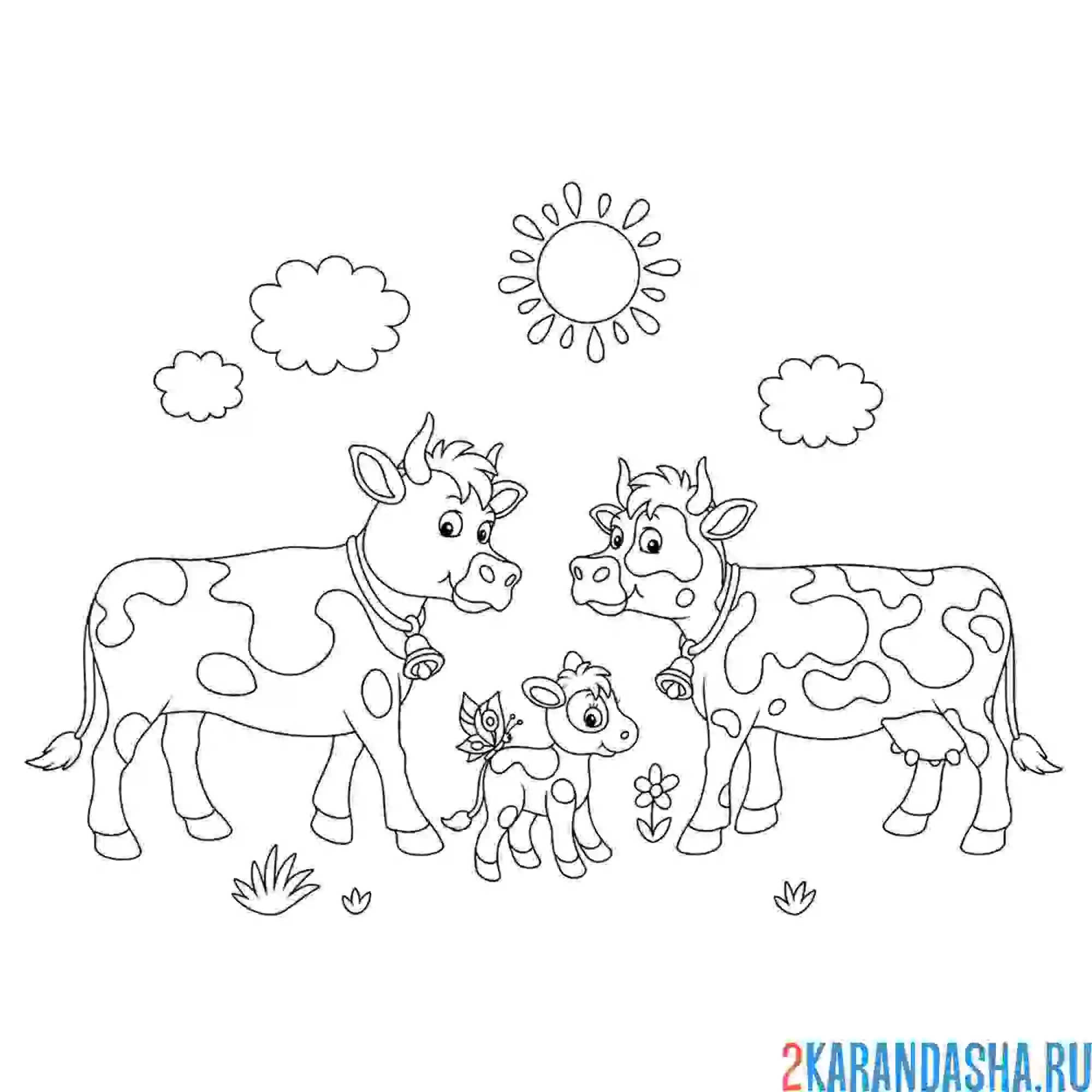 Раскраска папа бык, мама корова и теленок