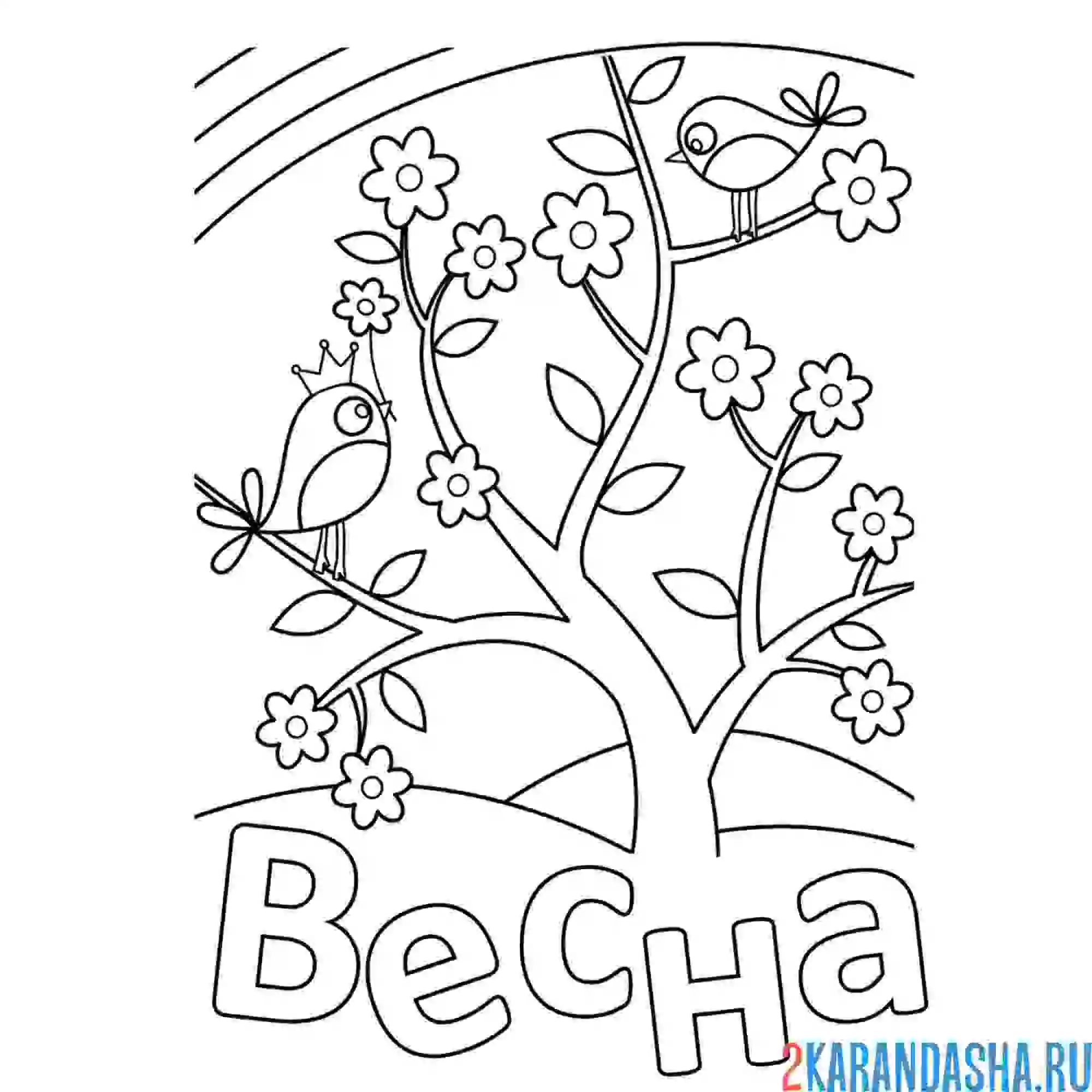 Раскраска поющие птички на весенней ветке