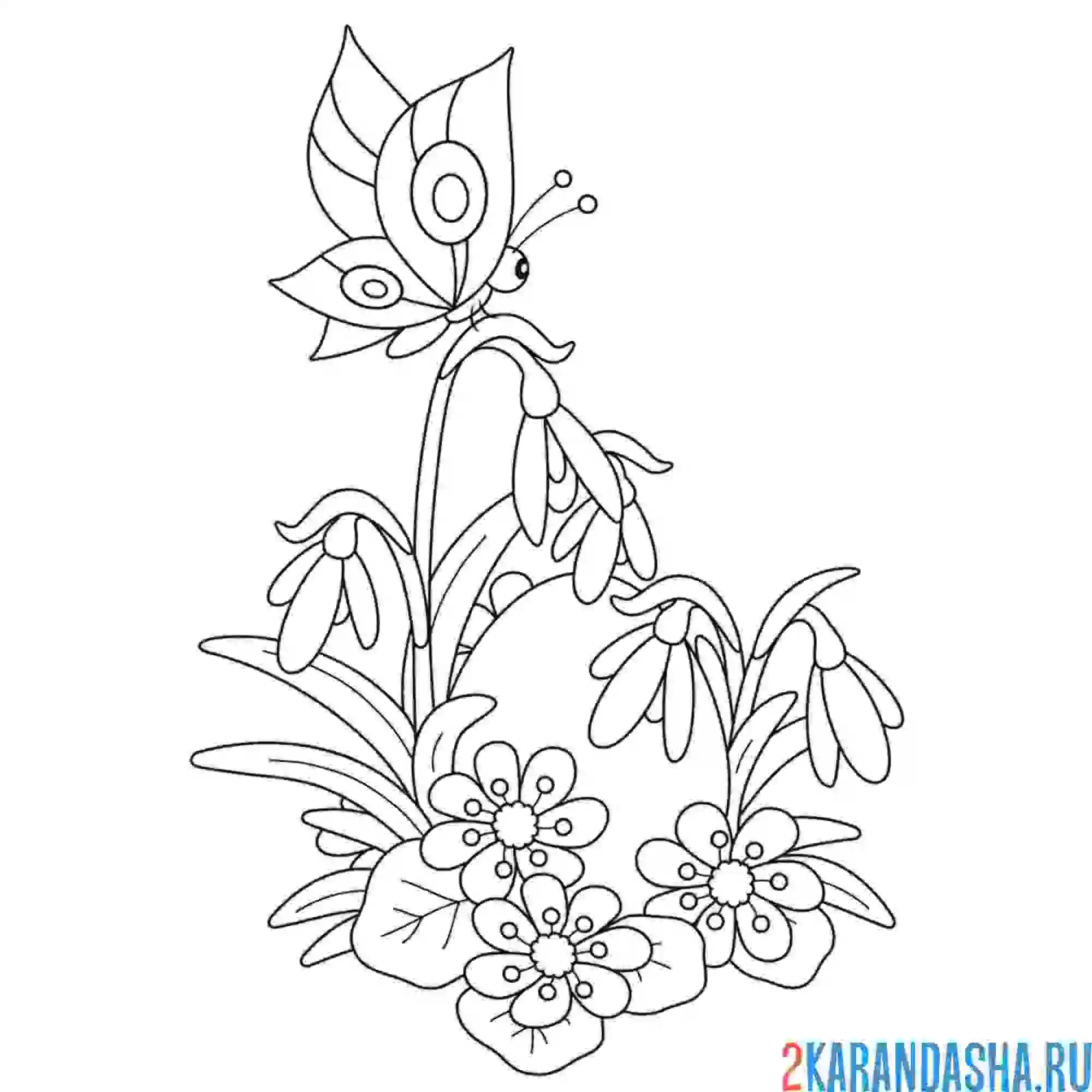 Раскраска бабочка на весенних цветах