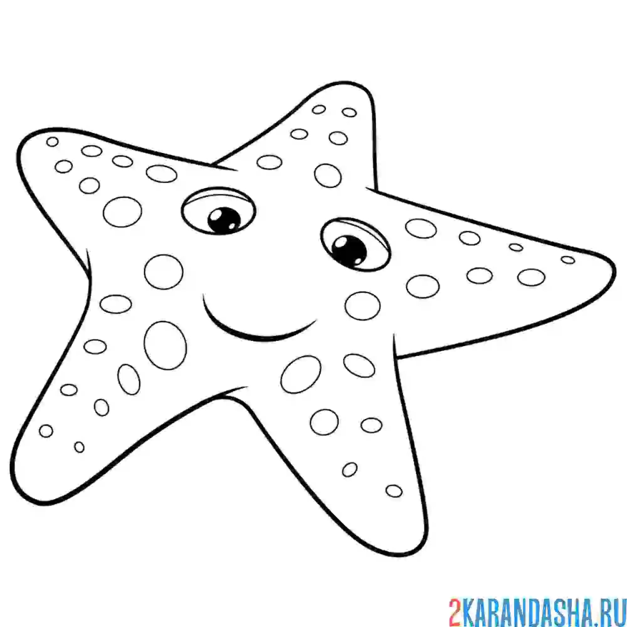 Раскраска морская звезда